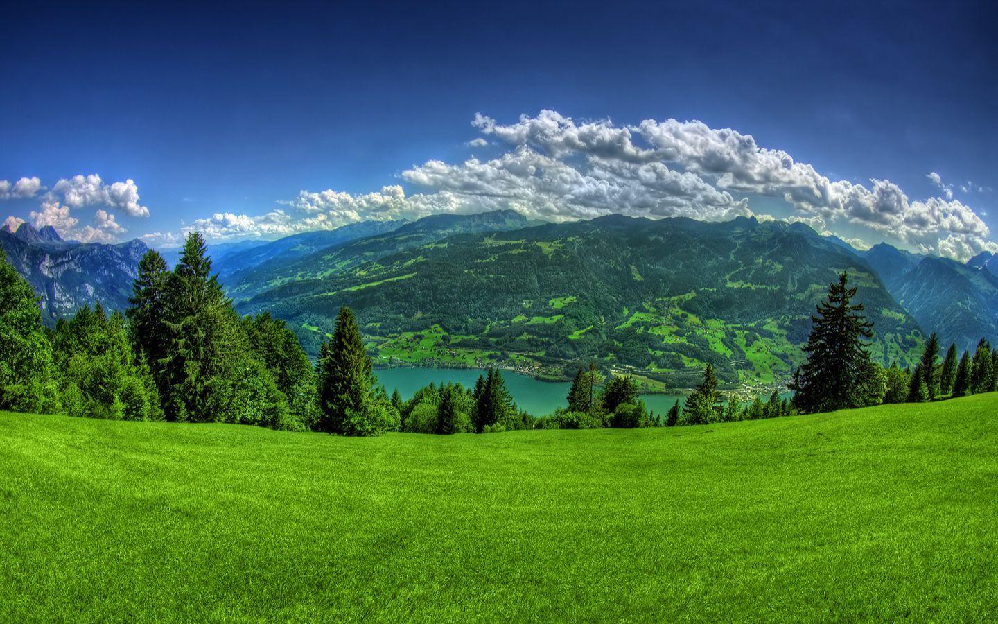 Green Pastures Wallpapers Top Free Green Pastures Backgrounds
