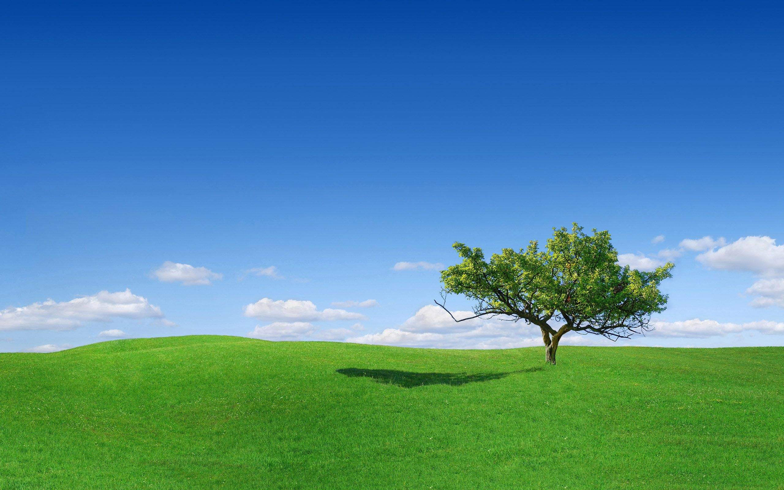Green Pastures Wallpapers Top Free Green Pastures Backgrounds