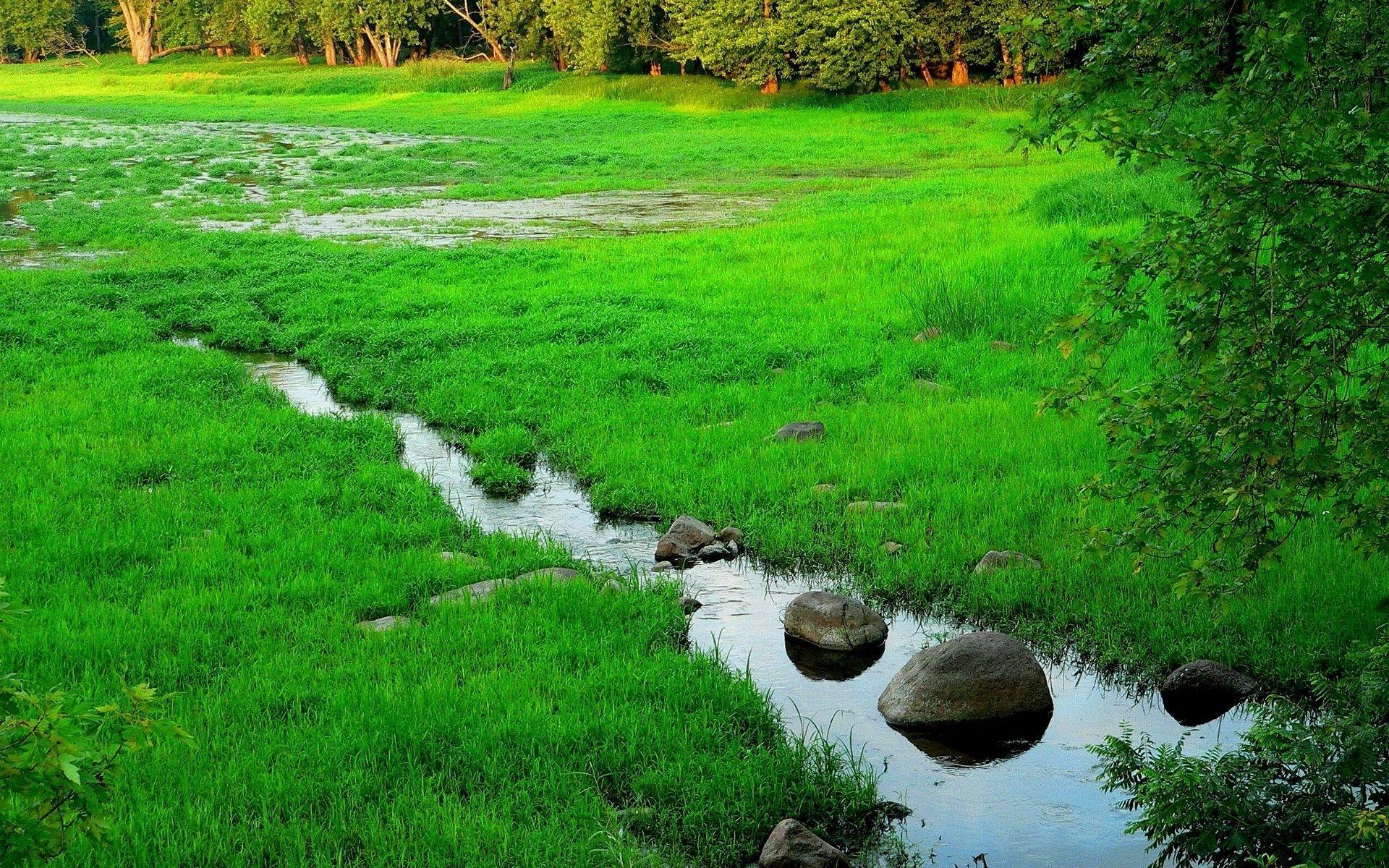 Green Pastures Wallpapers Top Free Green Pastures Backgrounds