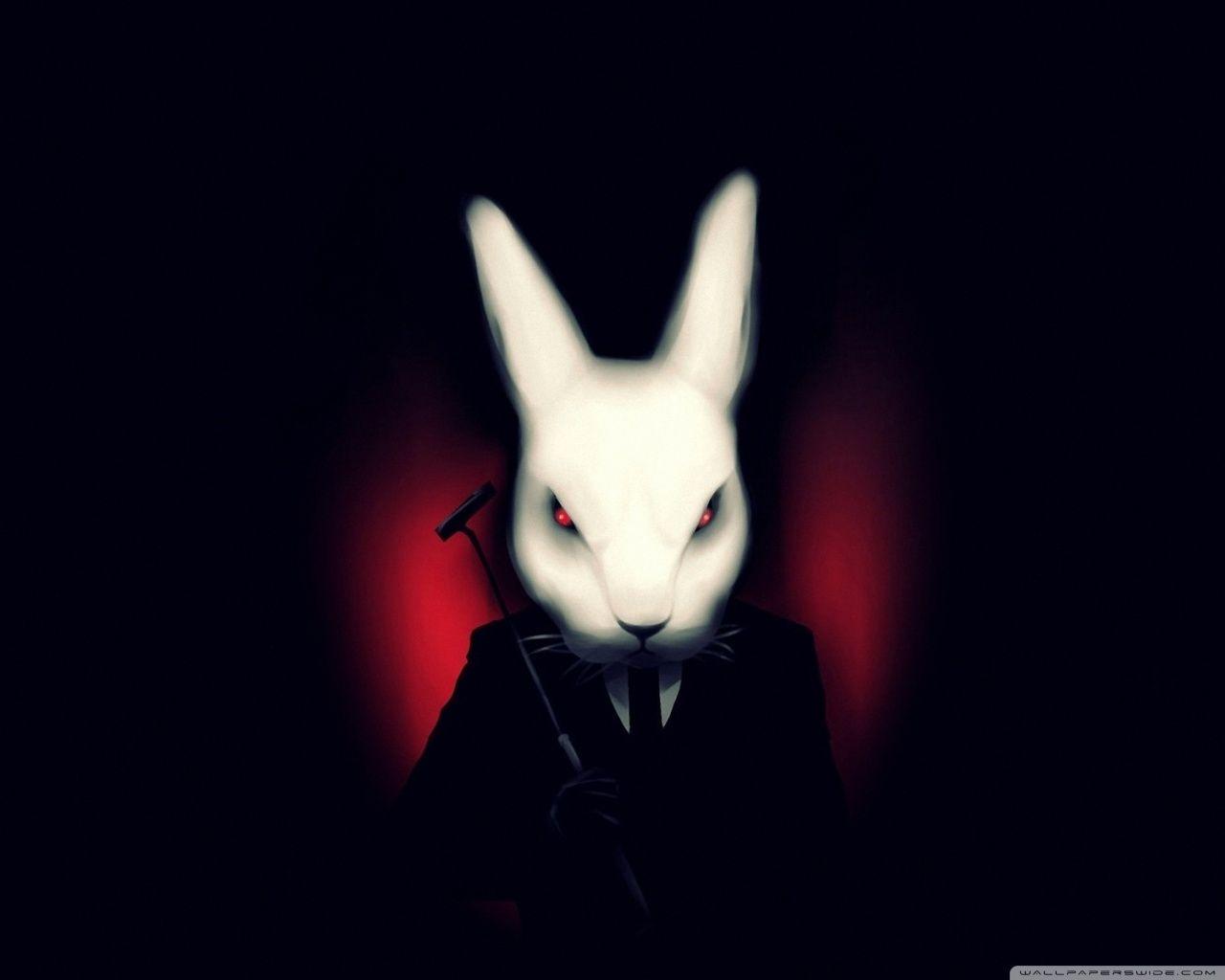Black and White Rabbit Wallpapers Top Free Black and White Rabbit Backgrounds WallpaperAccess