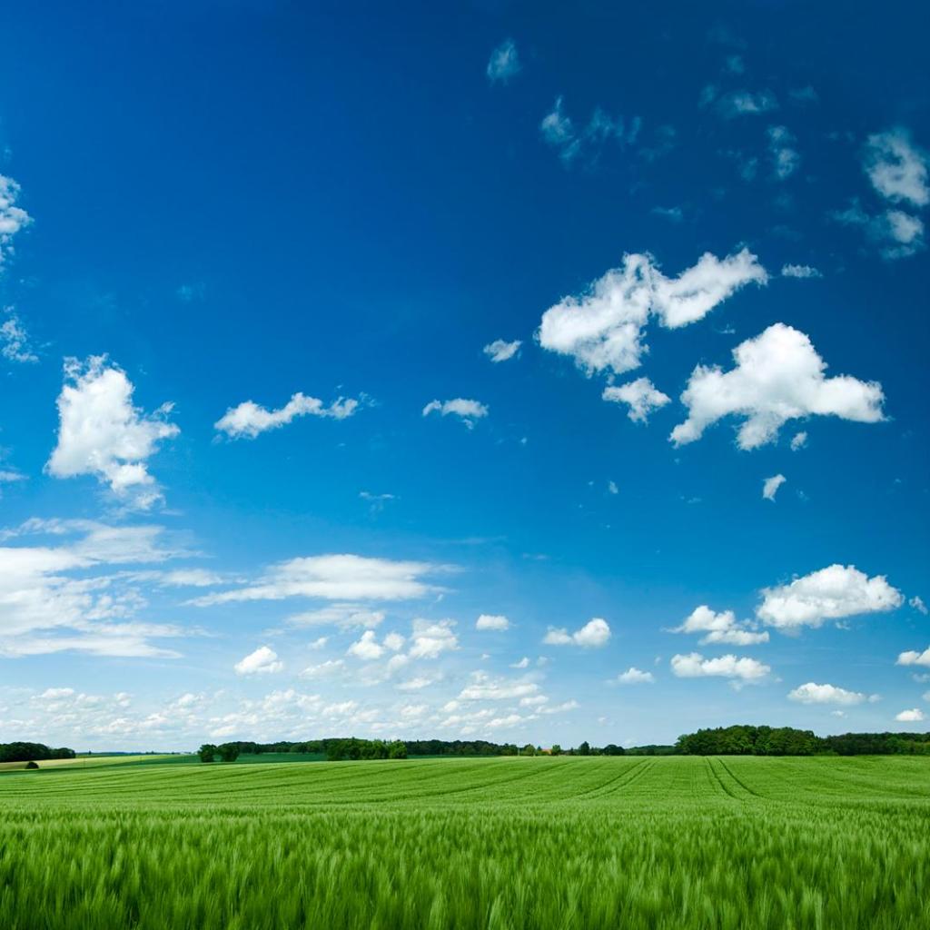 Green Pastures Wallpapers Top Free Green Pastures Backgrounds