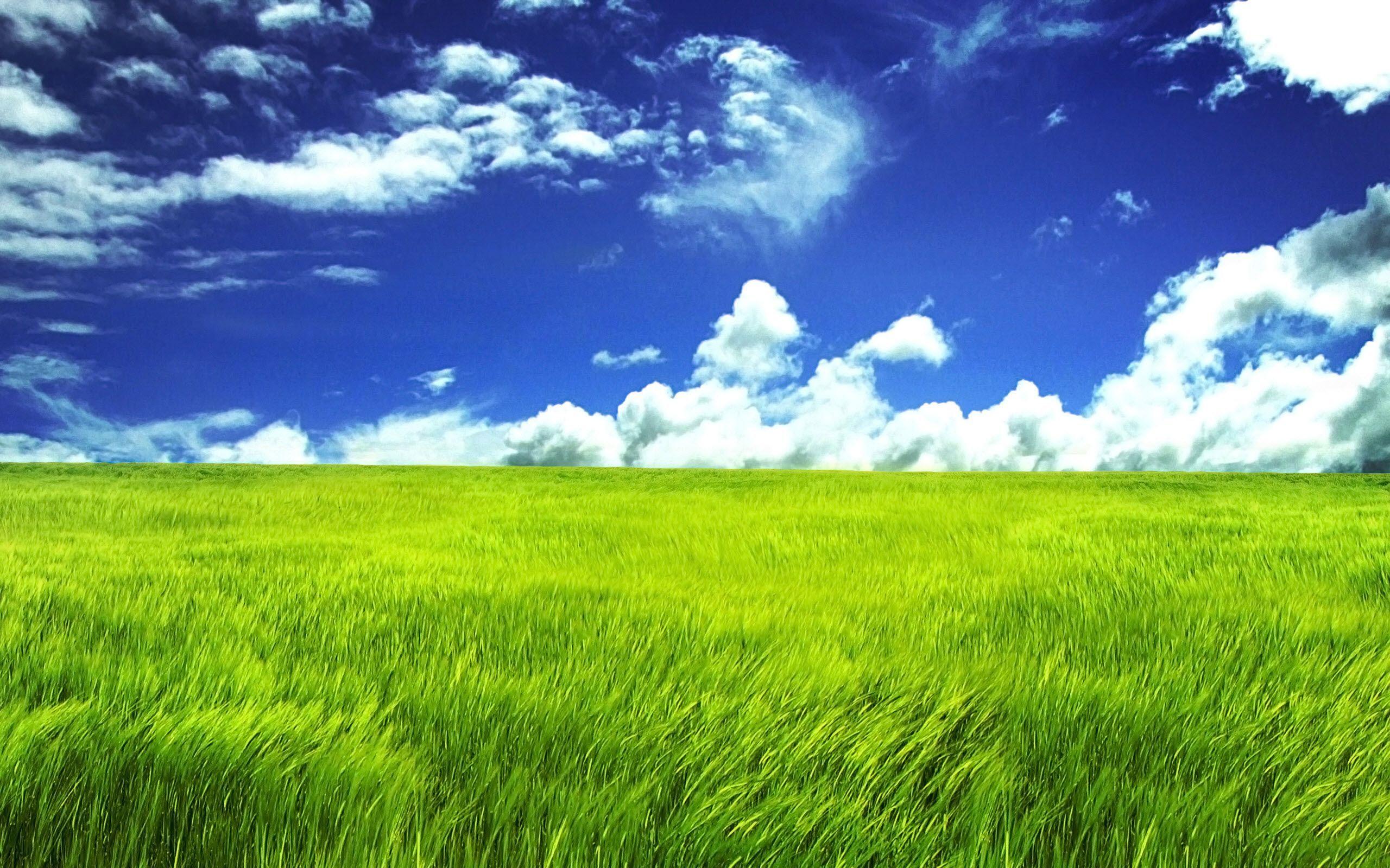Green Pastures Wallpapers Top Free Green Pastures Backgrounds