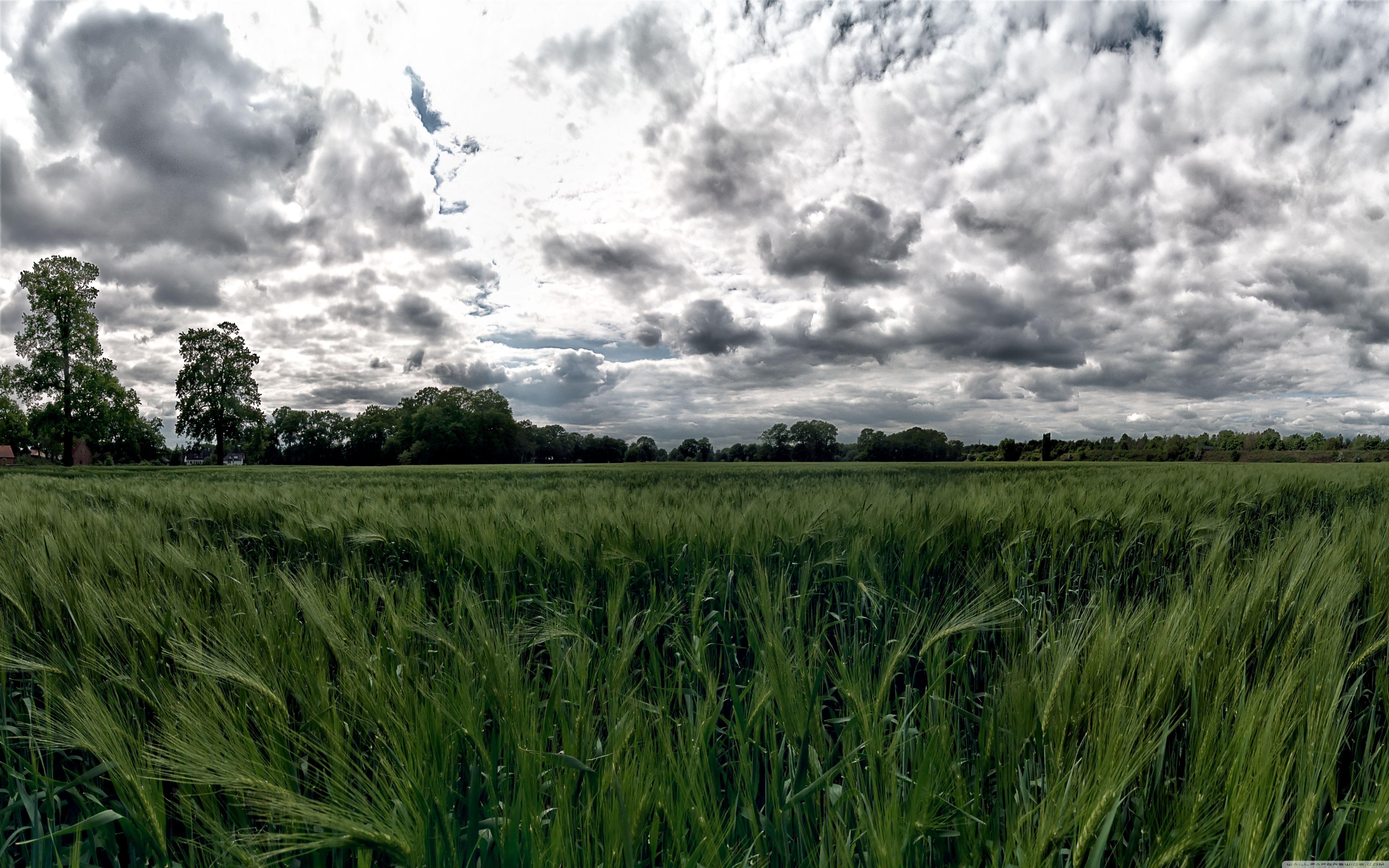 Green Pastures Wallpapers Top Free Green Pastures Backgrounds