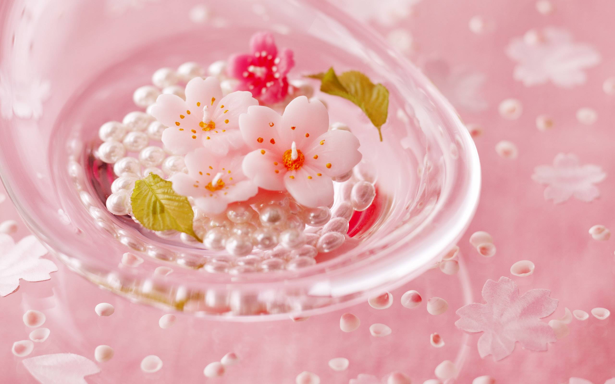 Light Pink Color Wallpapers Top Free Light Pink Color Backgrounds