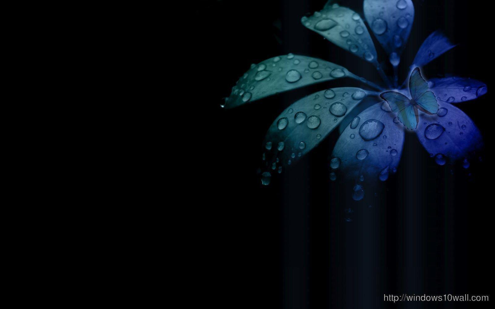 Black Abstract Flower Desktop Wallpapers Top Free Black Abstract