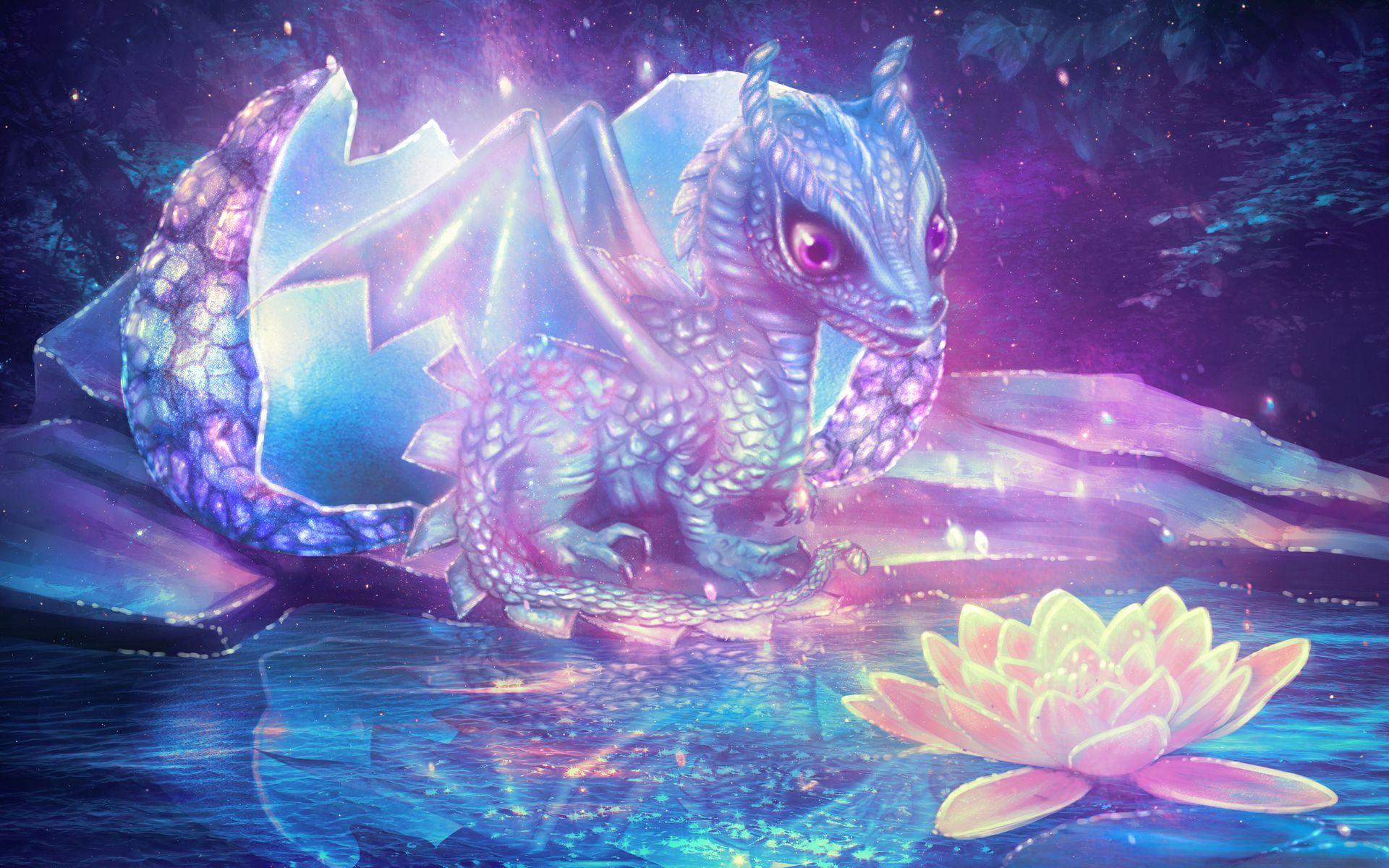 Pretty Dragon Wallpapers Top Free Pretty Dragon Backgrounds