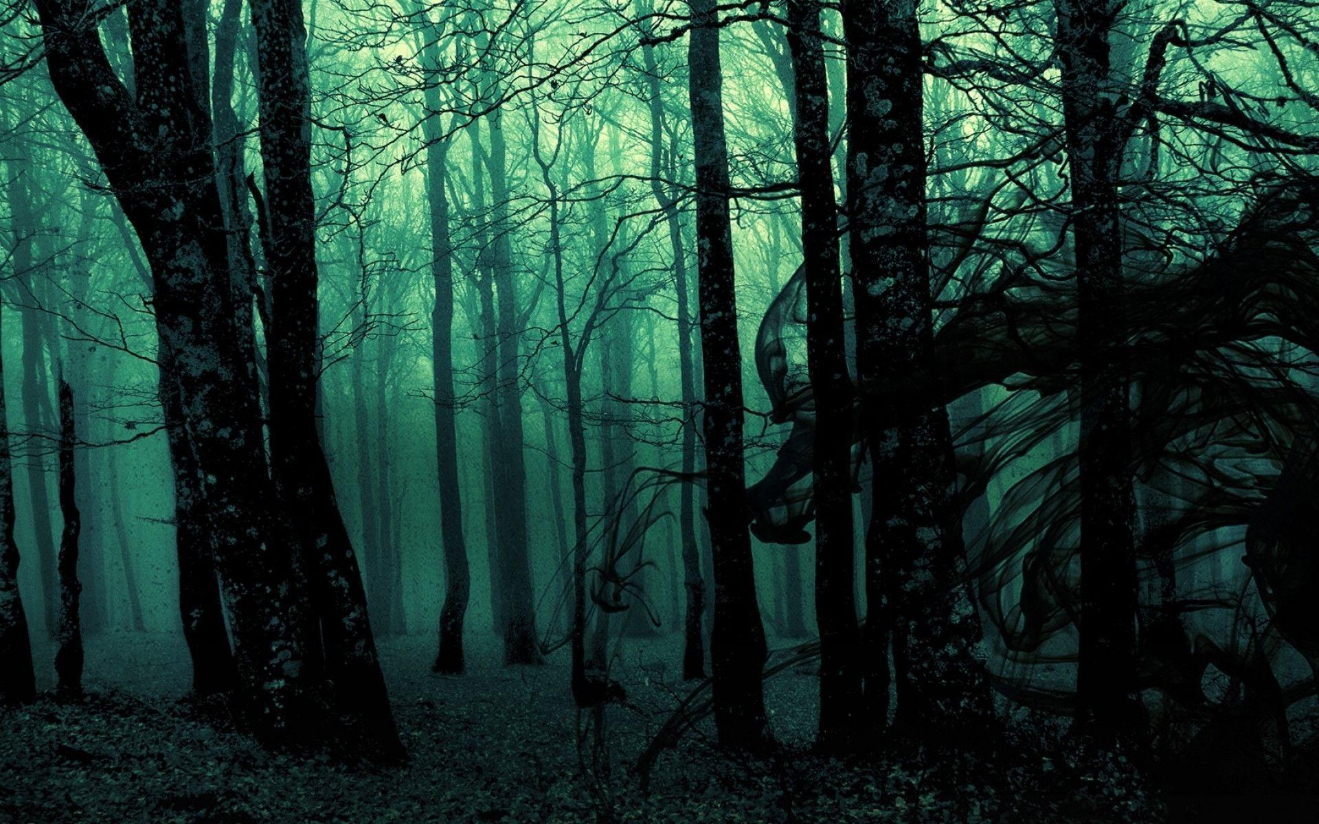 Anime Dark Forest Wallpapers Top Free Anime Dark Forest Backgrounds