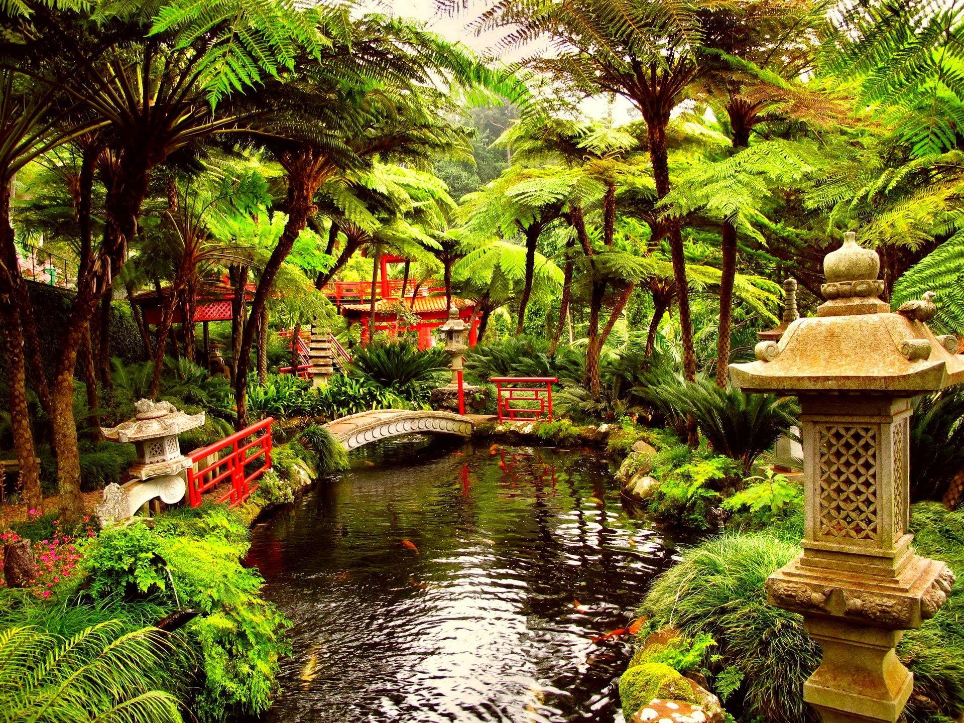 Enchanted Garden Wallpapers Top Free Enchanted Garden Backgrounds