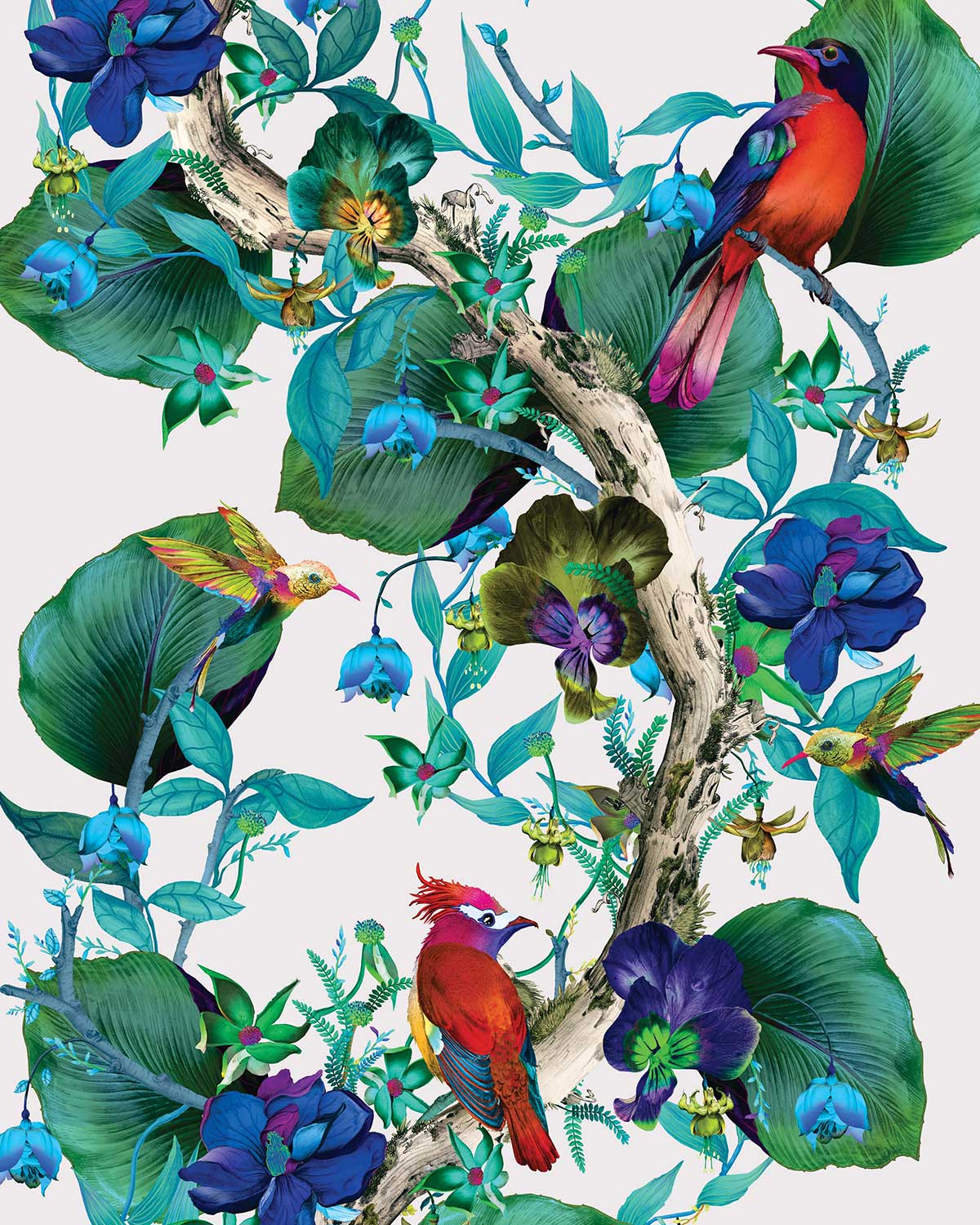 Enchanted Garden Wallpapers Top Free Enchanted Garden Backgrounds