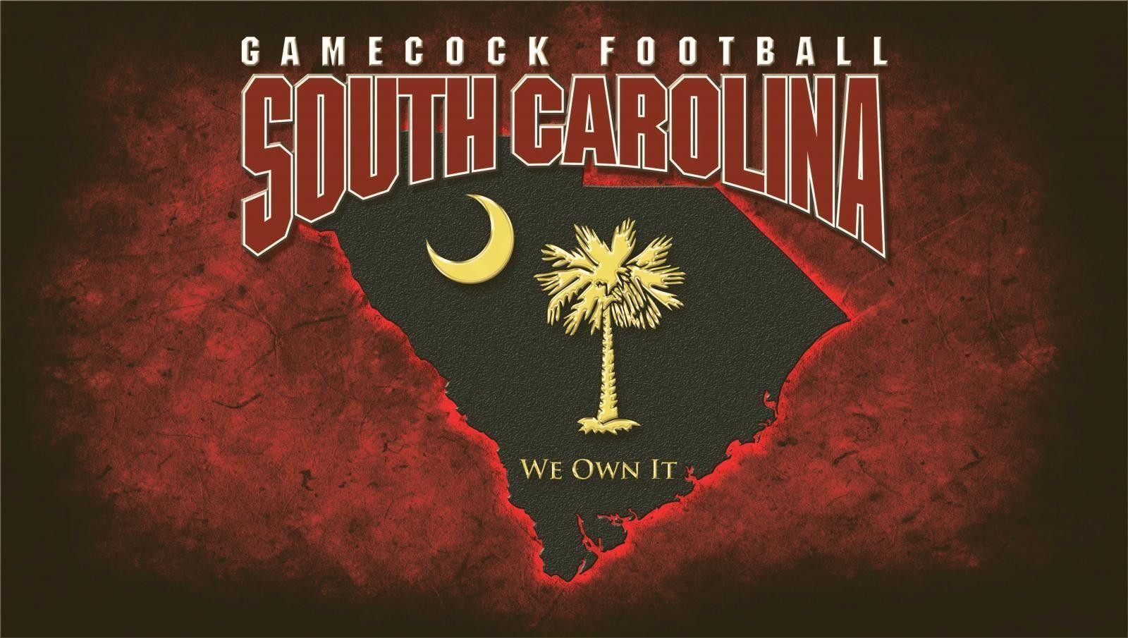 South Carolina Gamecocks Wallpapers Top Free South Carolina Gamecocks