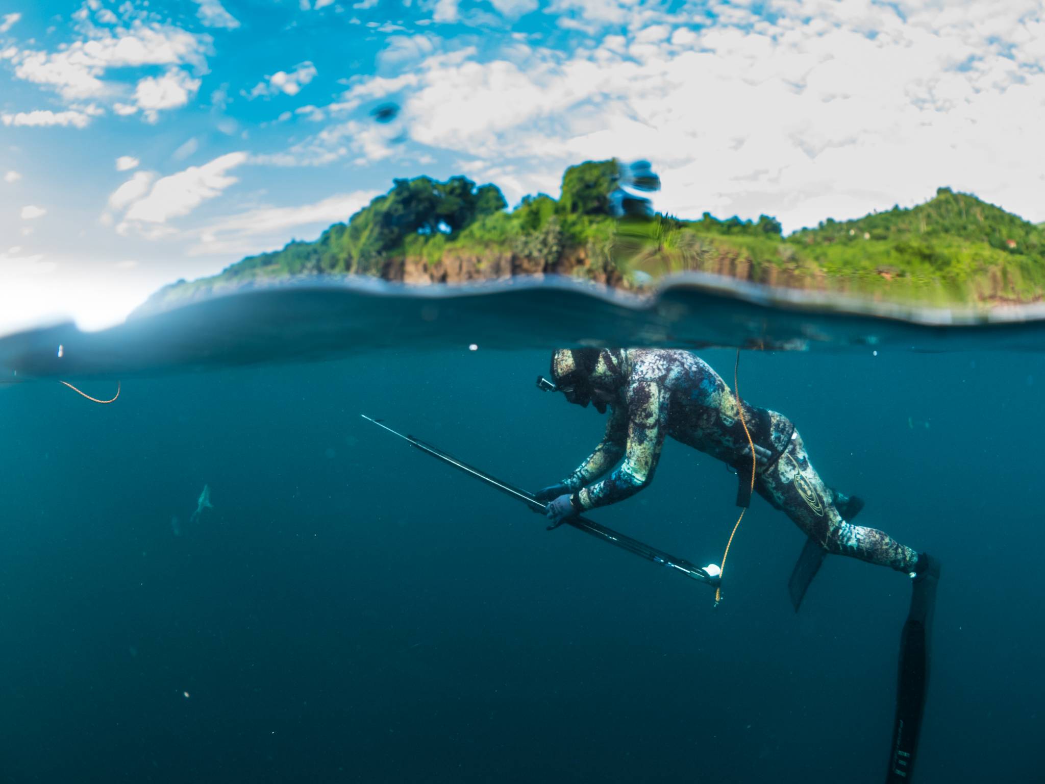Spearfishing Wallpapers Top Free Spearfishing Backgrounds