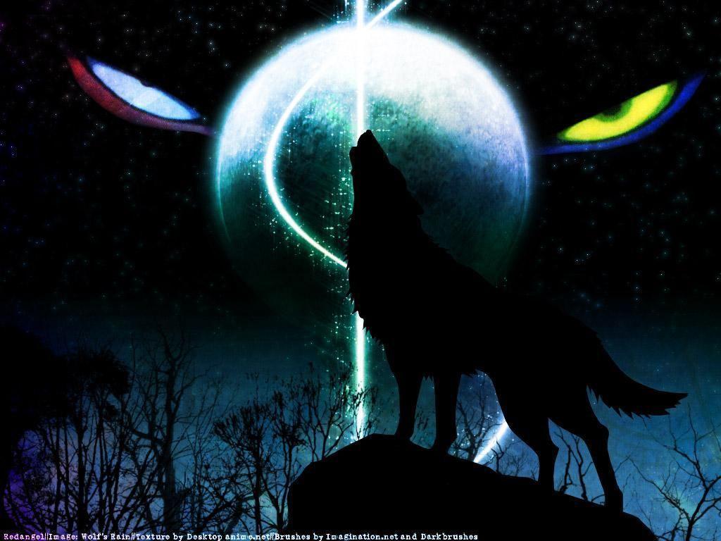 Black Anime Wolf Wallpapers Top Free Black Anime Wolf Backgrounds