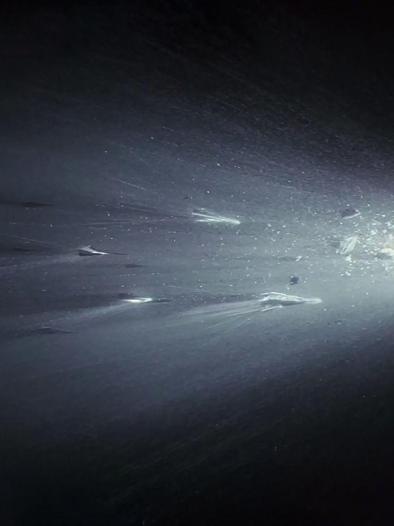 Lightspeed Wallpapers Top Free Lightspeed Backgrounds WallpaperAccess