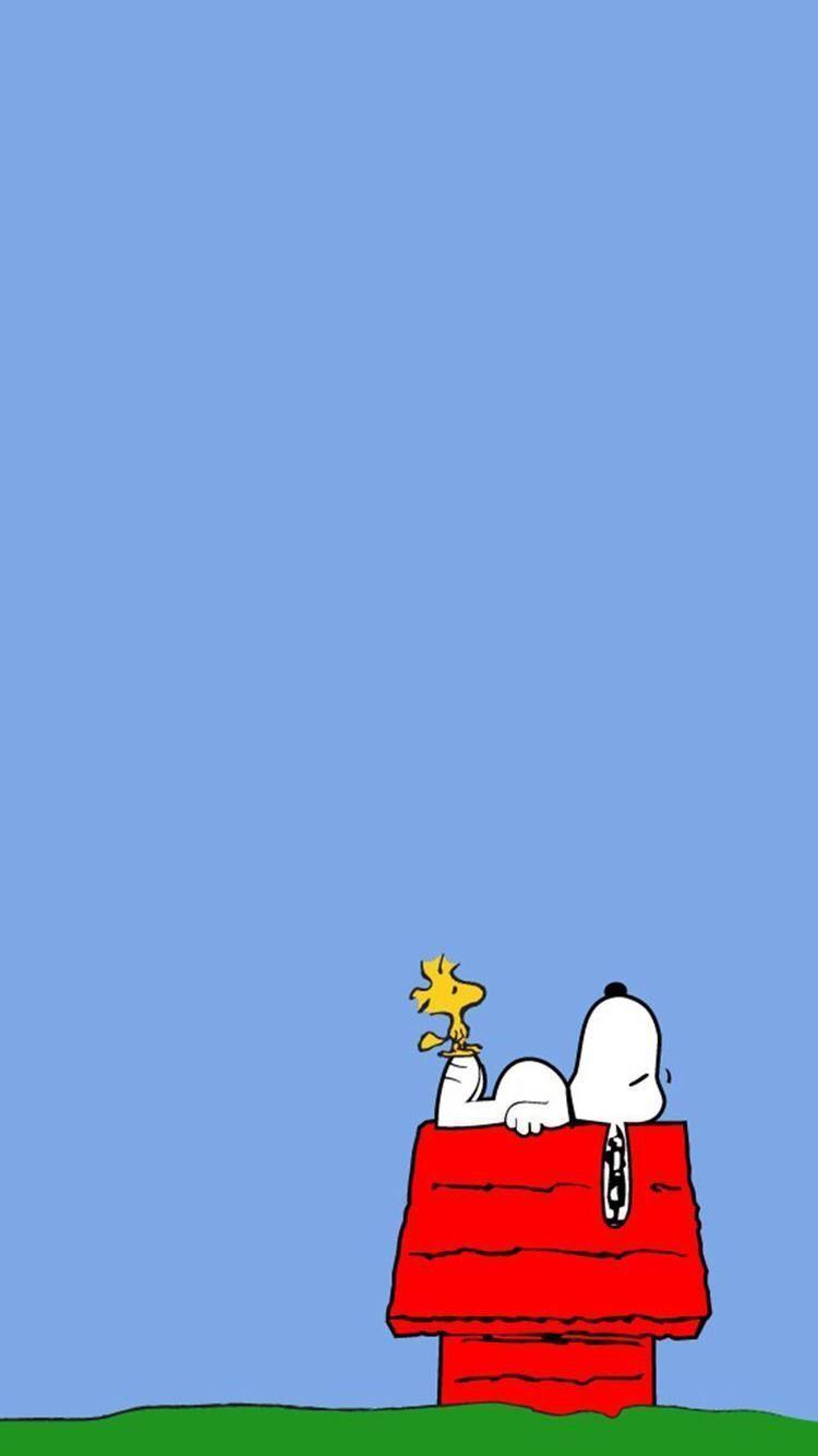 Charlie Brown Fall Wallpaper