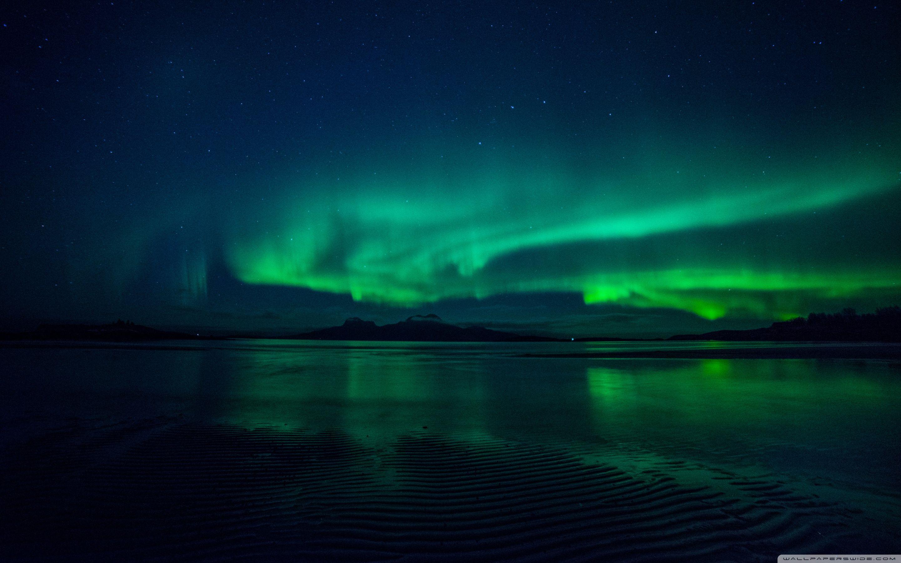 Green Night Wallpapers Top Free Green Night Backgrounds WallpaperAccess