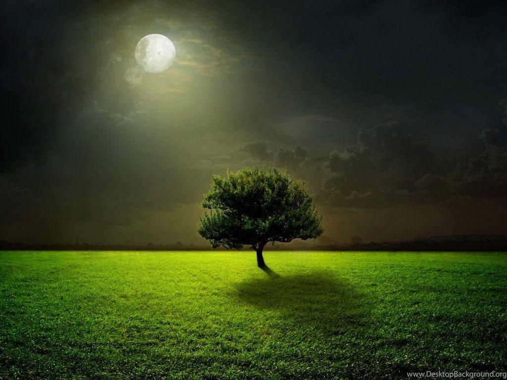 Green Night Wallpapers Top Free Green Night Backgrounds WallpaperAccess