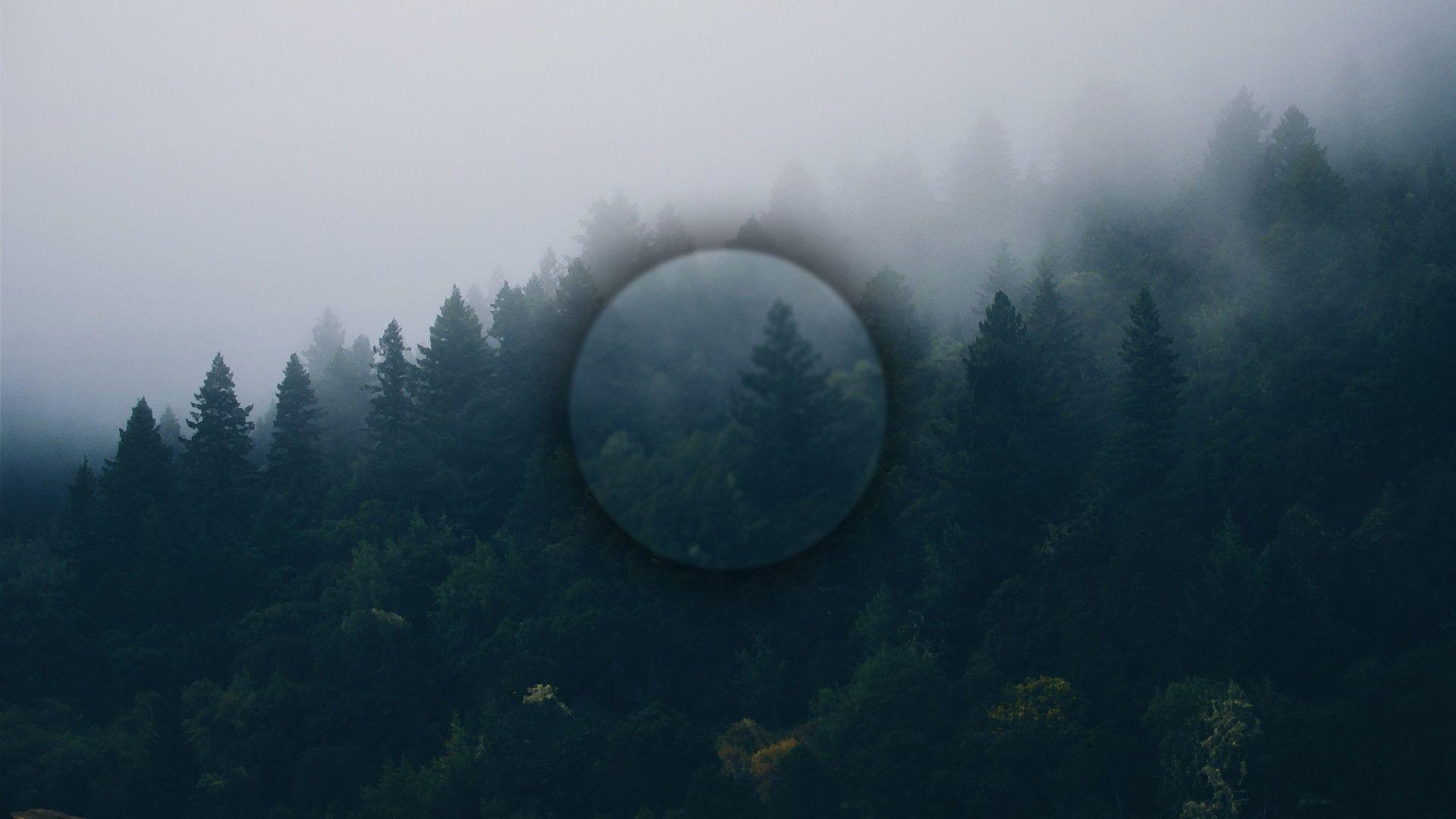 1920X1080 Minimalist Forest Wallpapers Top Free 1920X1080 Minimalist