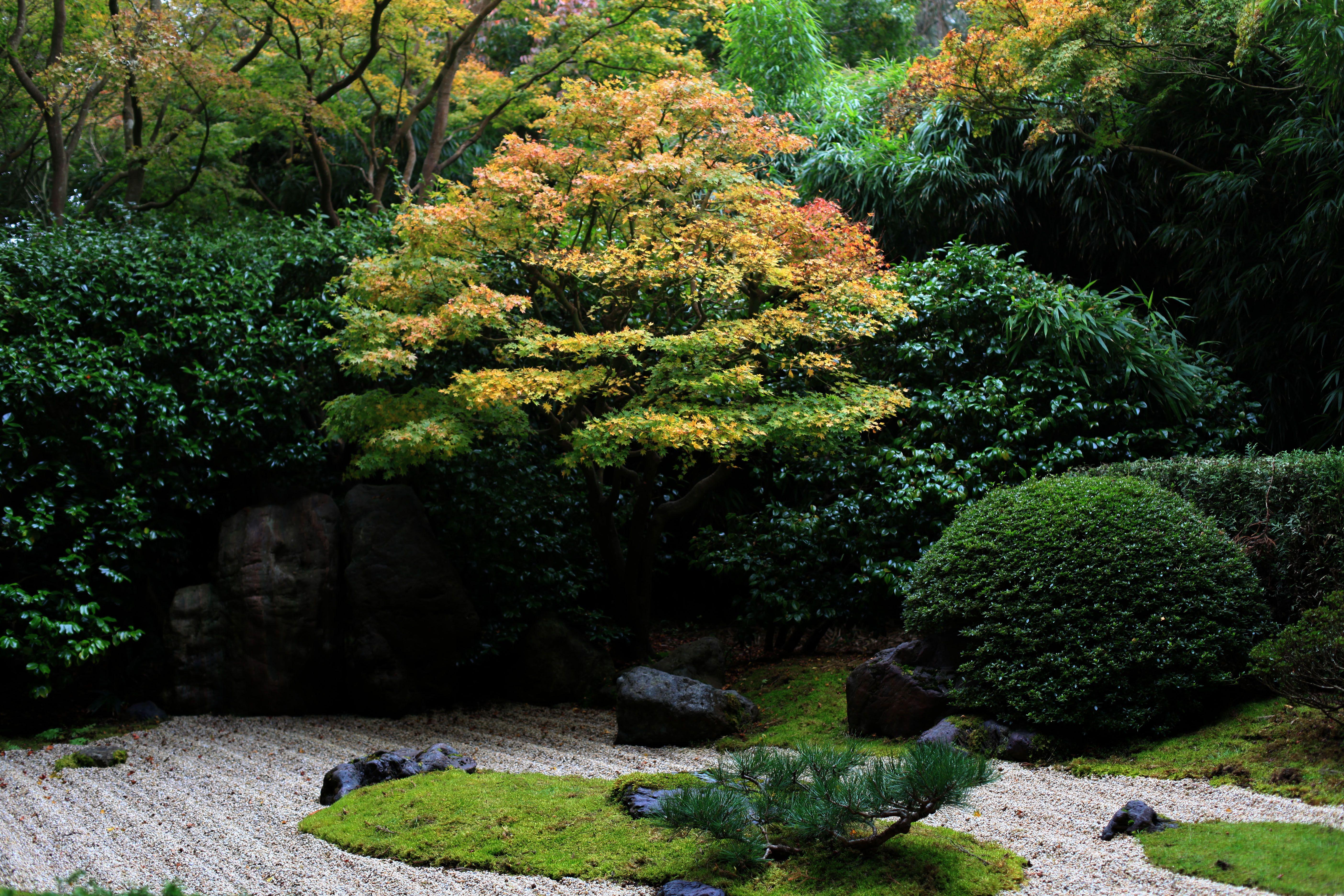 Zen Garden Desktop Wallpapers Top Free Zen Garden Desktop Backgrounds