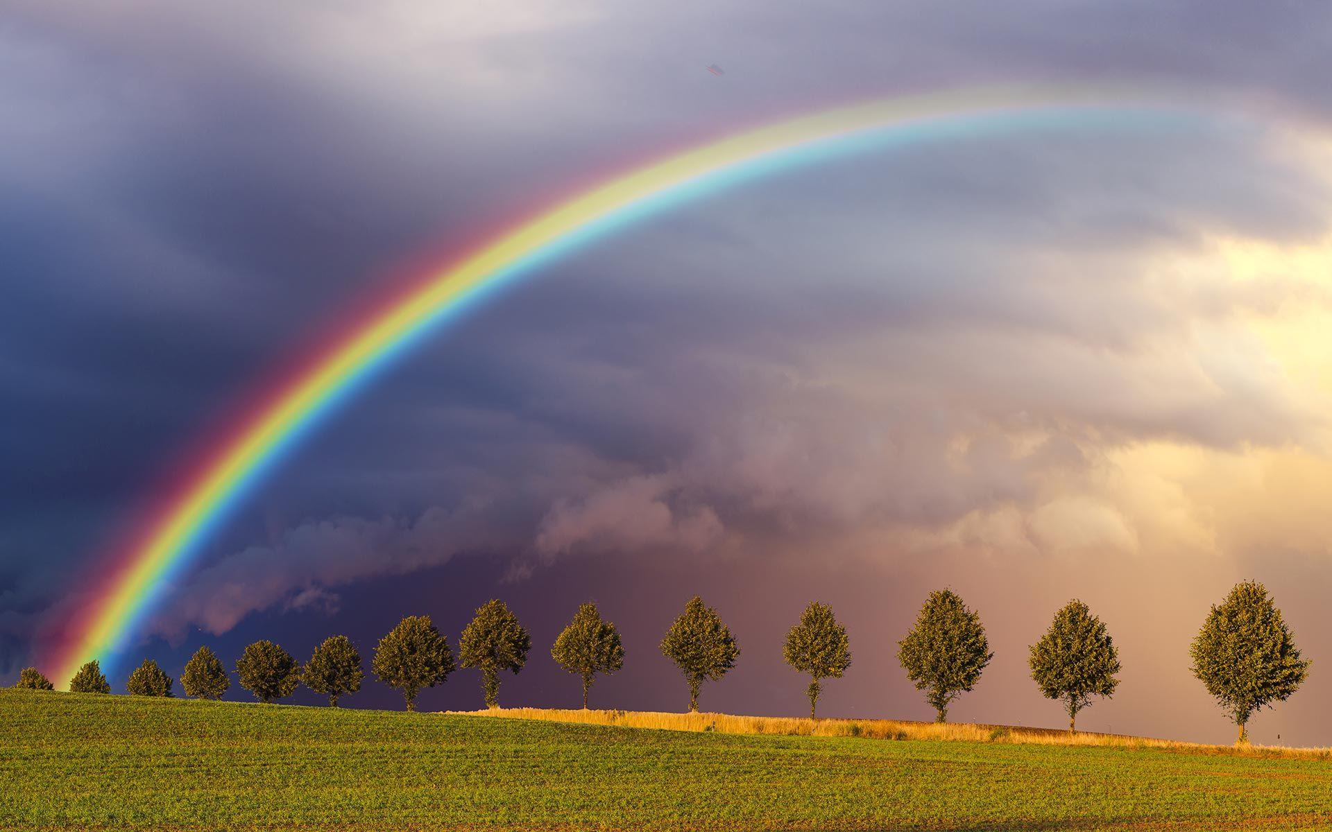 Rainbow HD Wallpapers Top Free Rainbow HD Backgrounds WallpaperAccess