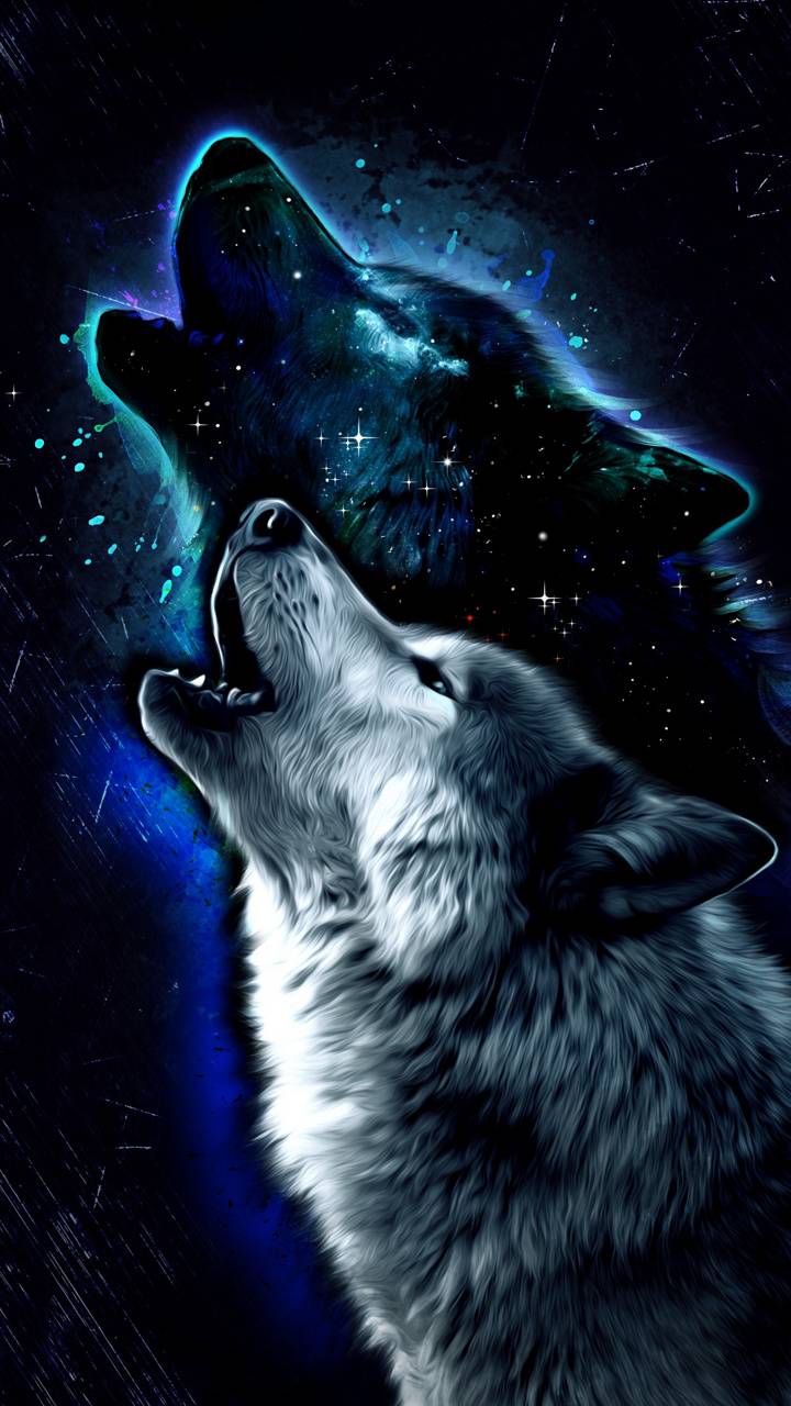 Amazing Wolf Wallpapers Top Free Amazing Wolf Backgrounds
