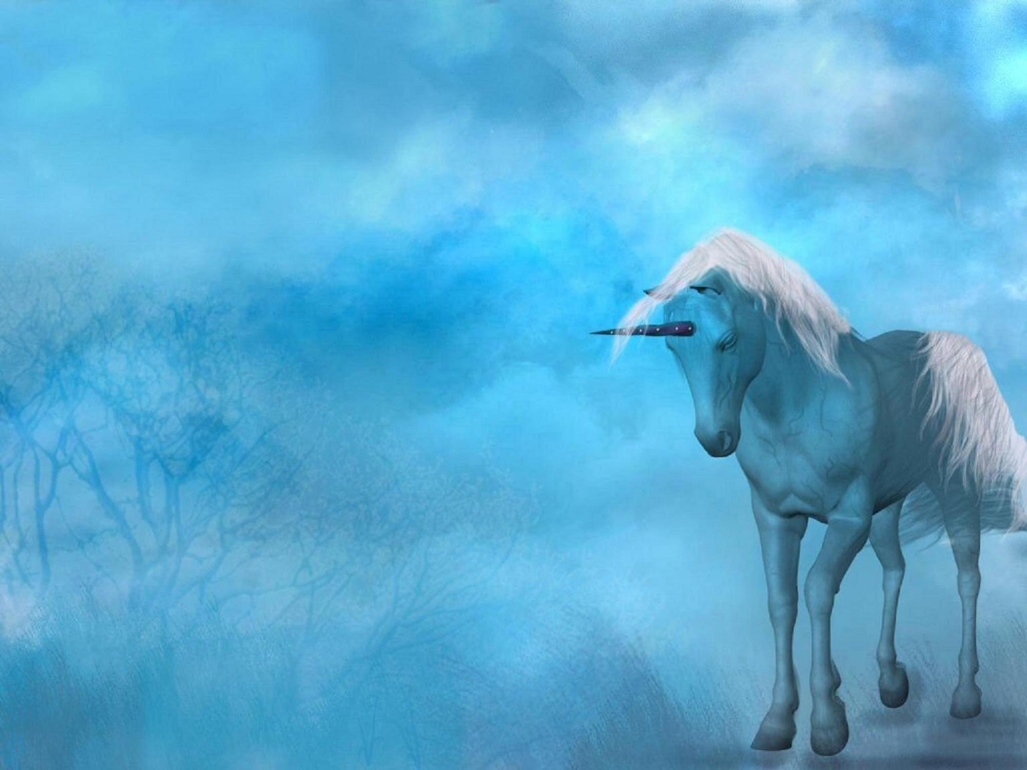 Blue Unicorn Computer Wallpapers Top Free Blue Unicorn Computer