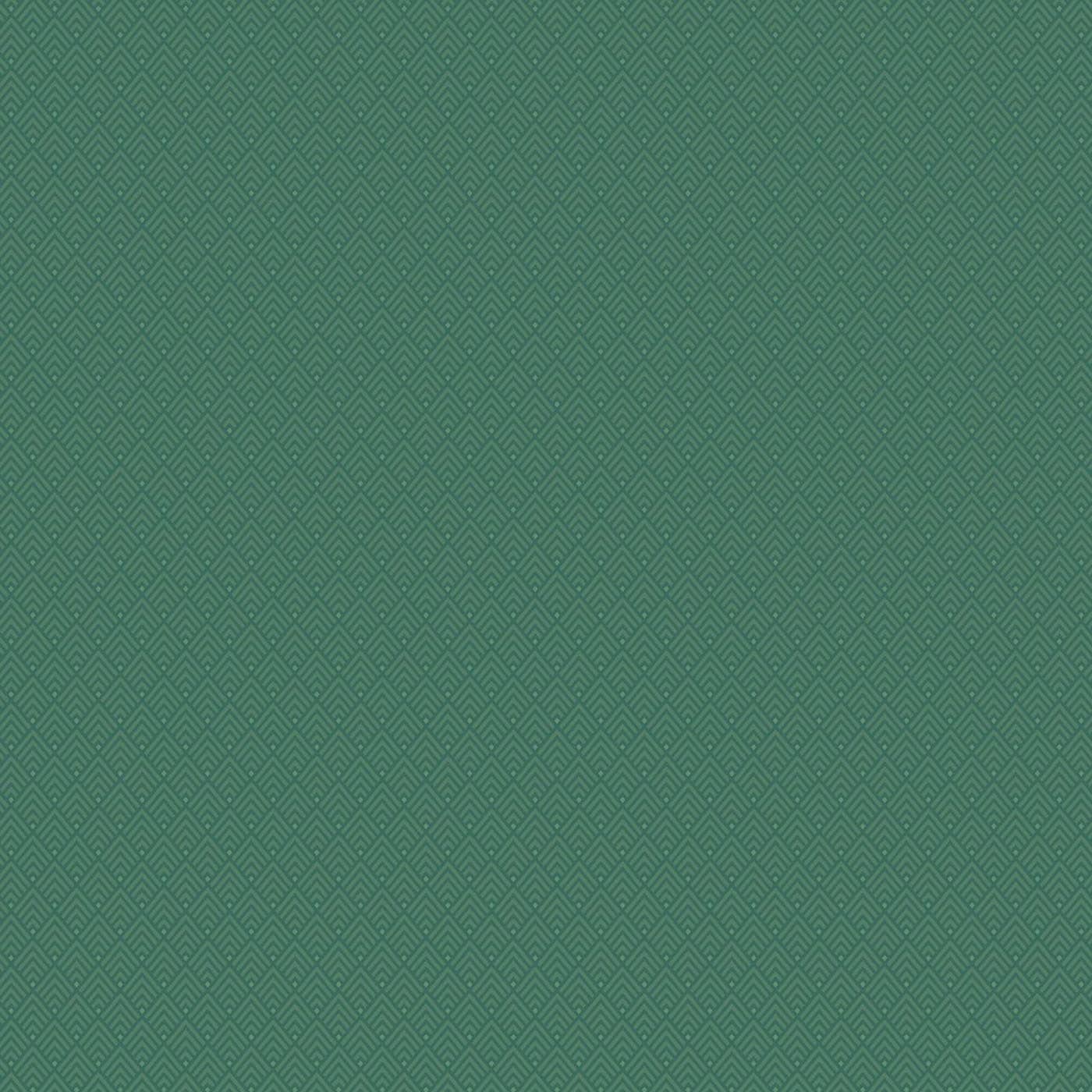 Plain Dark Green Wallpapers Top Free Plain Dark Green Backgrounds WallpaperAccess