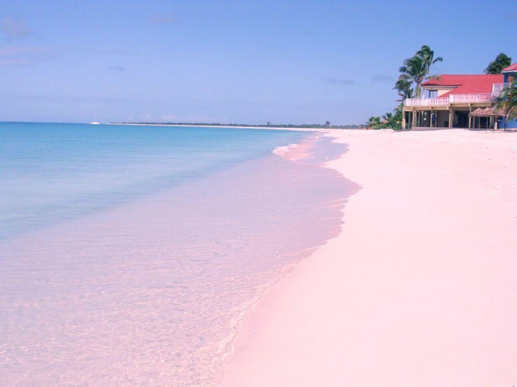 Pink Beach Wallpapers Top Free Pink Beach Backgrounds WallpaperAccess