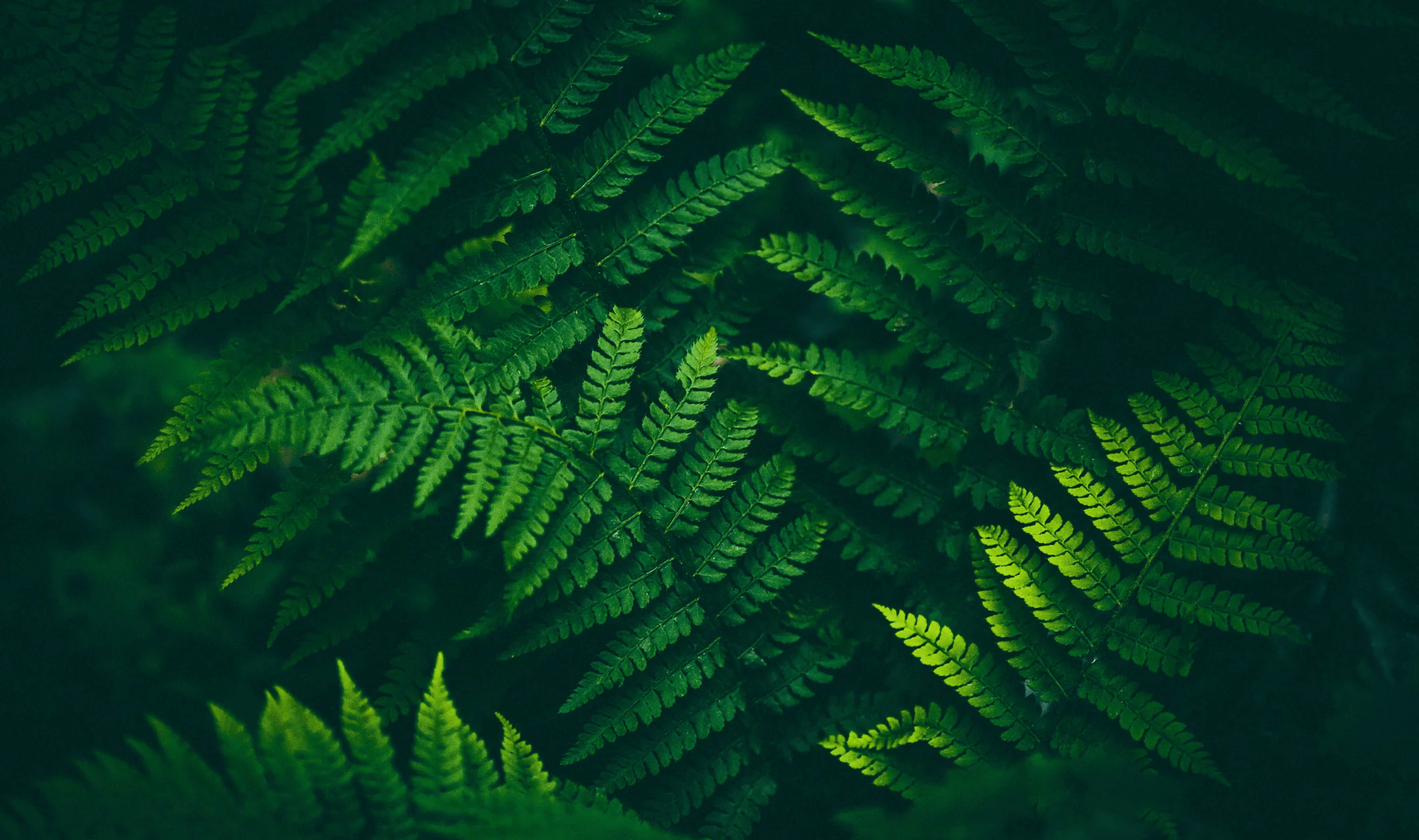 To Do Wallpapers Top Free To Do Backgrounds WallpaperAccess