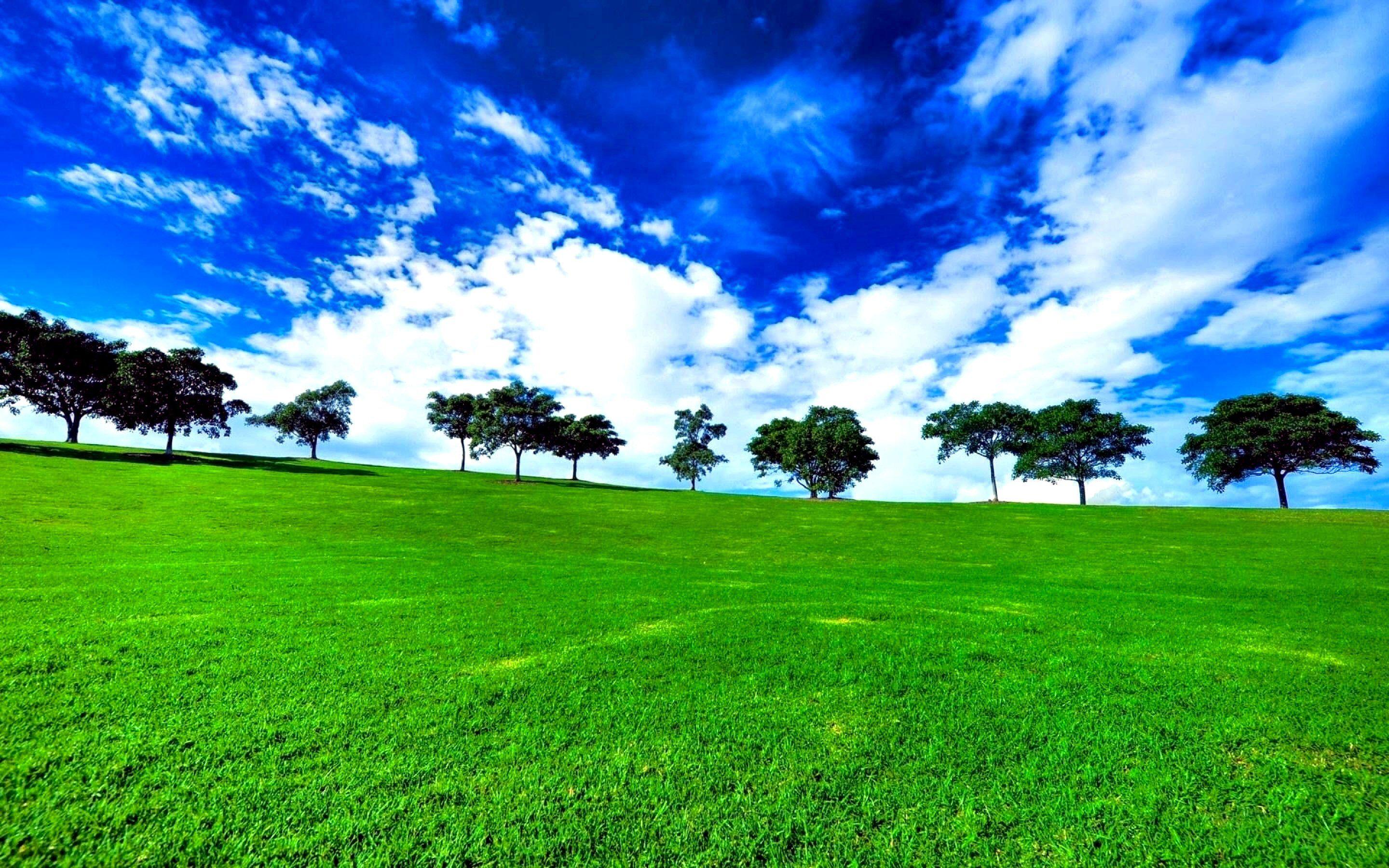 Green Meadow Wallpapers Top Free Green Meadow Backgrounds