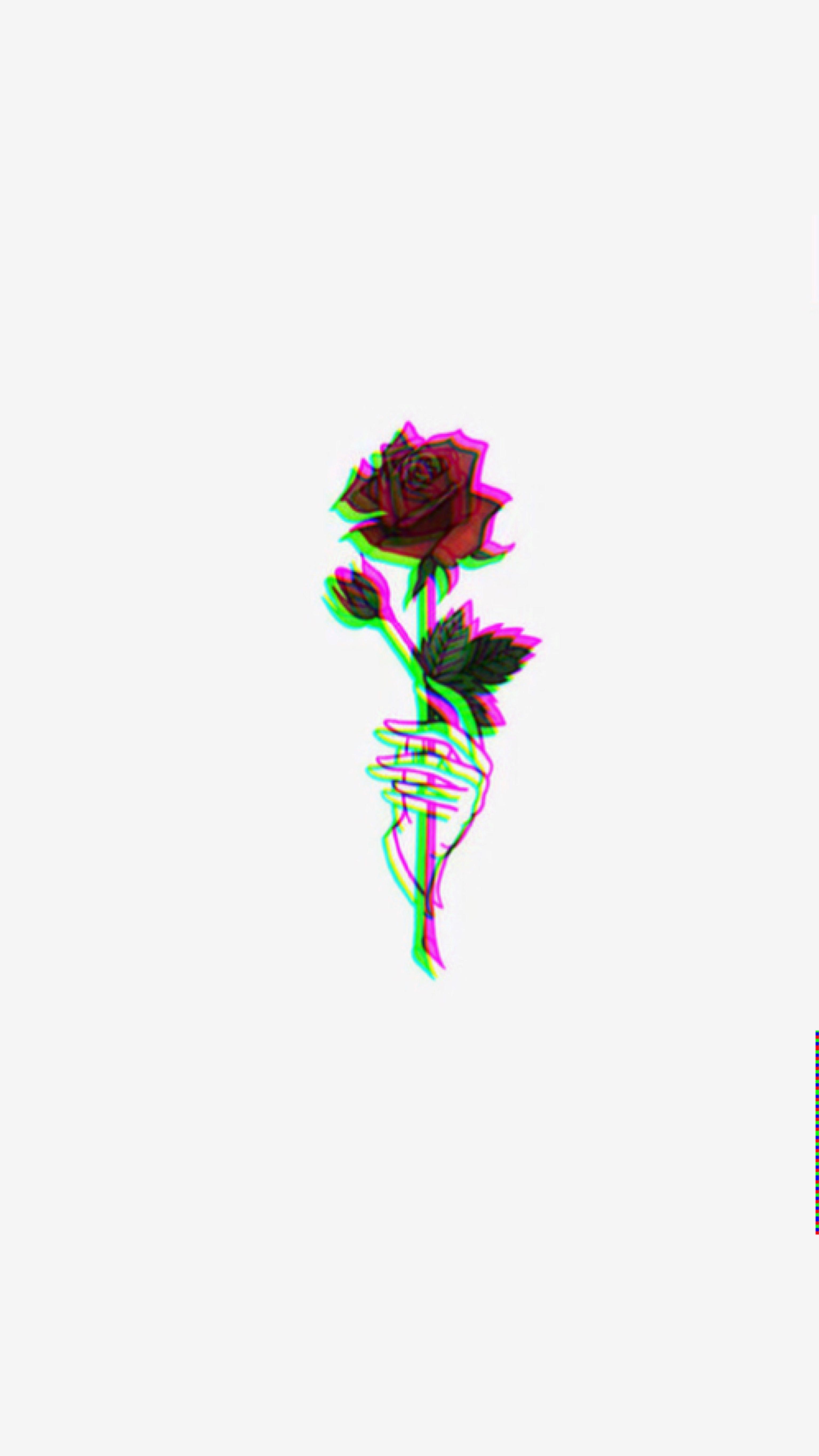 Cute Aesthetic Rose Wallpapers Top Free Cute Aesthetic Rose