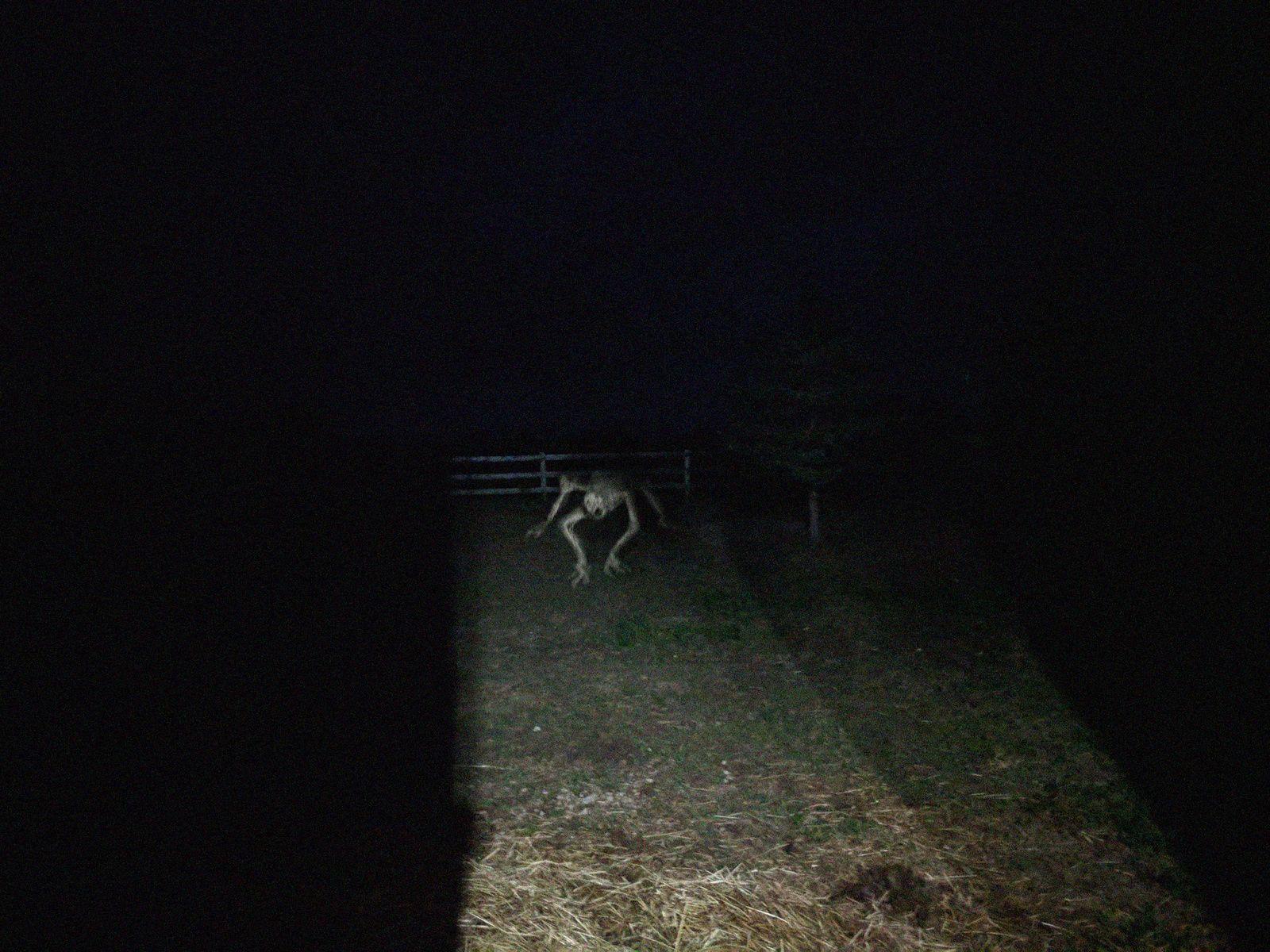 Trevor Henderson Wallpapers Top Free Trevor Henderson Backgrounds