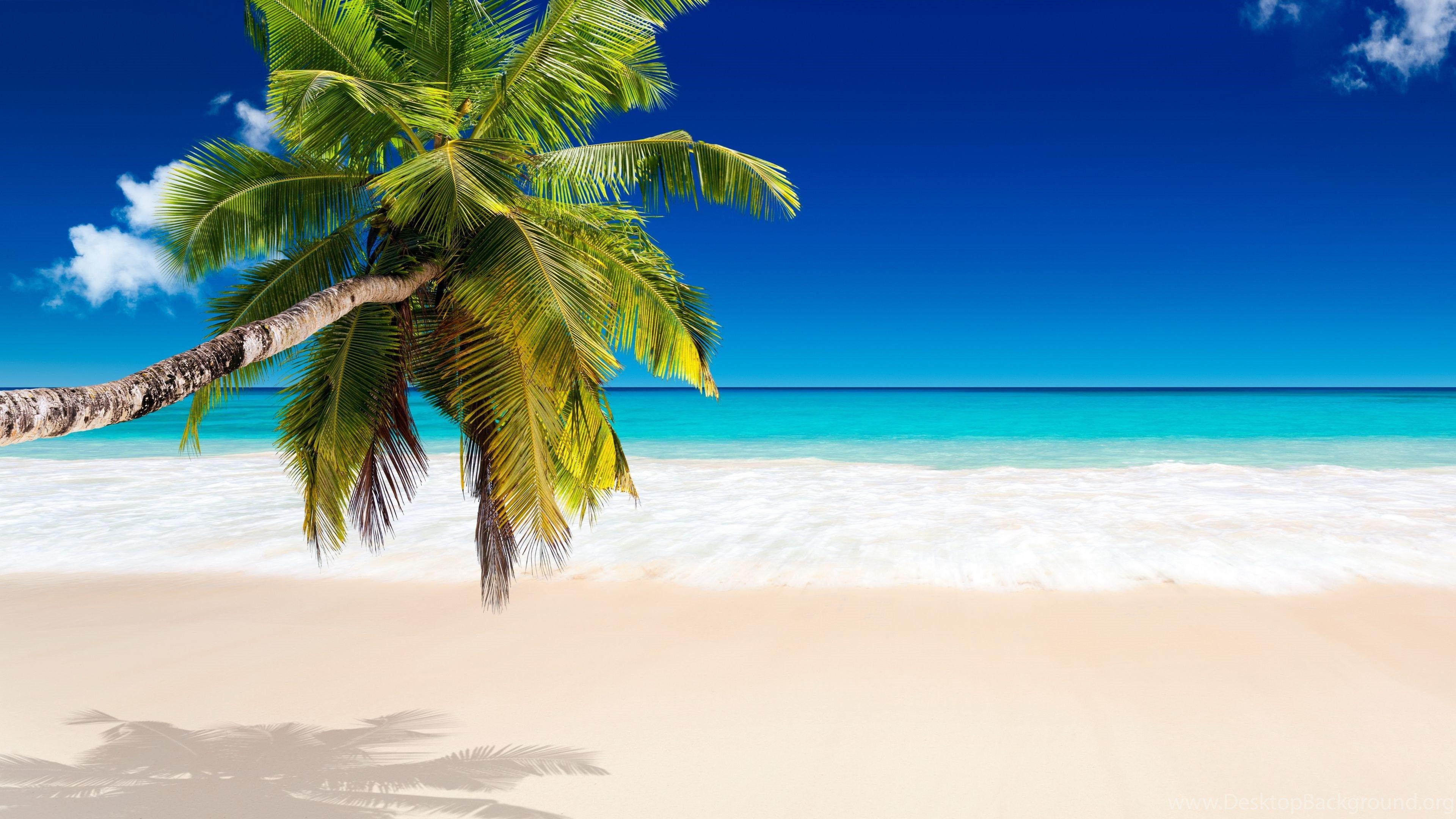 Caribbean 4k Wallpapers Top Free Caribbean 4k Backgrounds