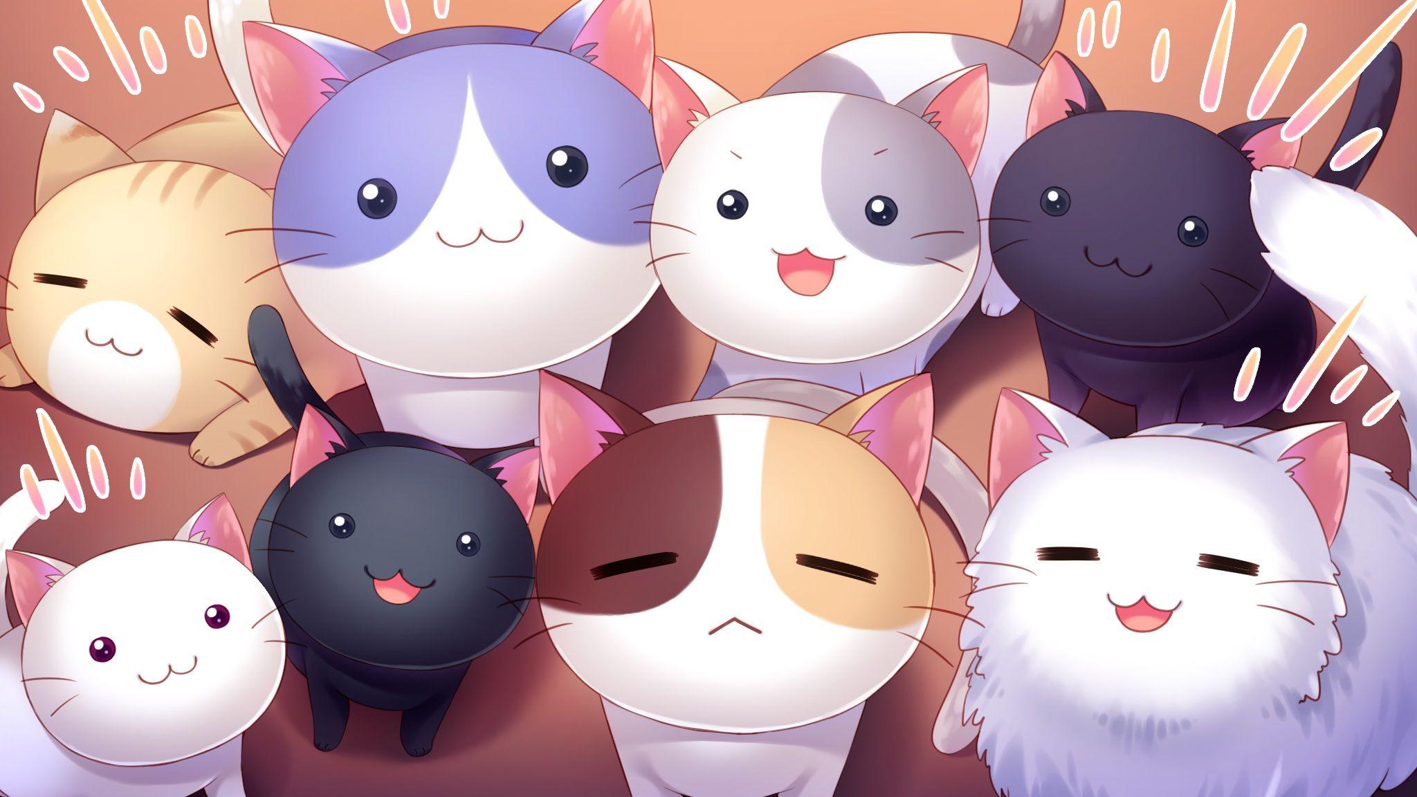 Kawaii Cat Wallpapers Top Free Kawaii Cat Backgrounds WallpaperAccess