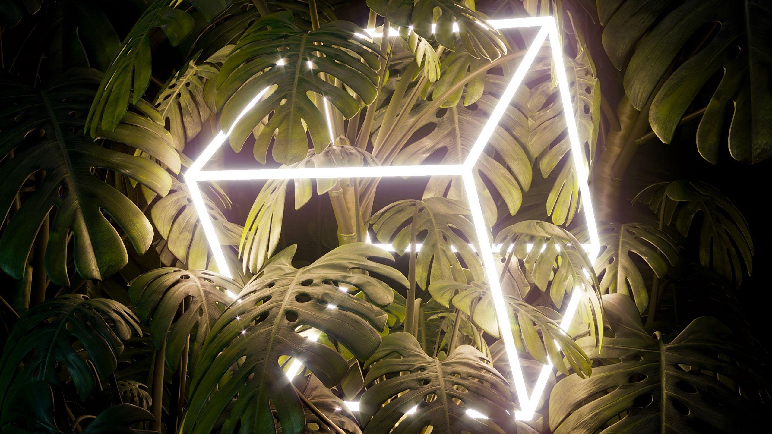 Neon Leaves Wallpapers Top Free Neon Leaves Backgrounds WallpaperAccess