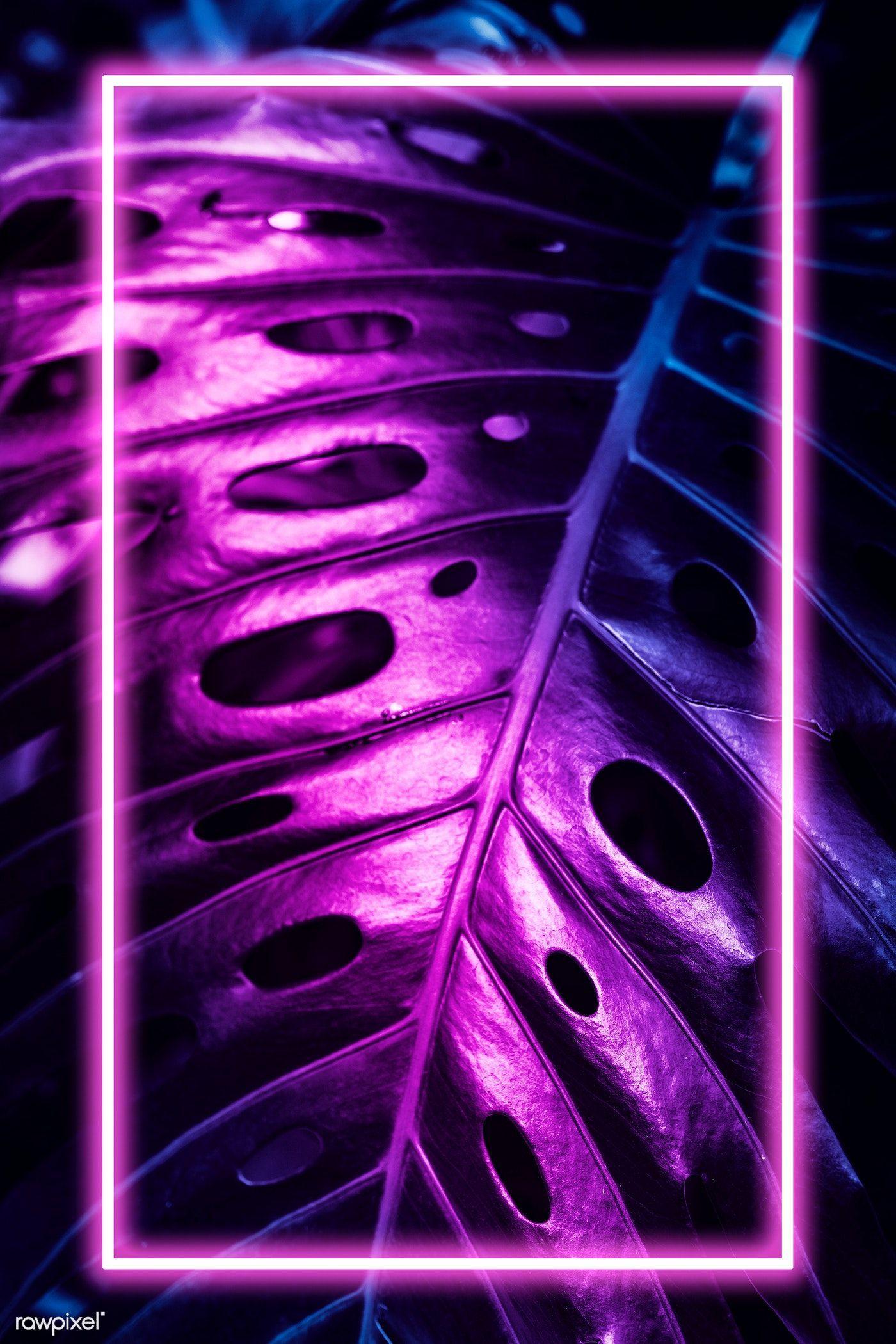 Neon Leaves Wallpapers Top Free Neon Leaves Backgrounds WallpaperAccess