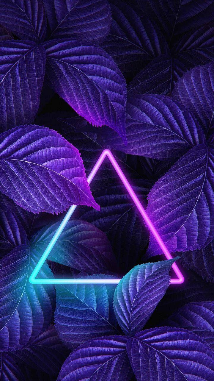 Neon Leaves Wallpapers Top Free Neon Leaves Backgrounds WallpaperAccess