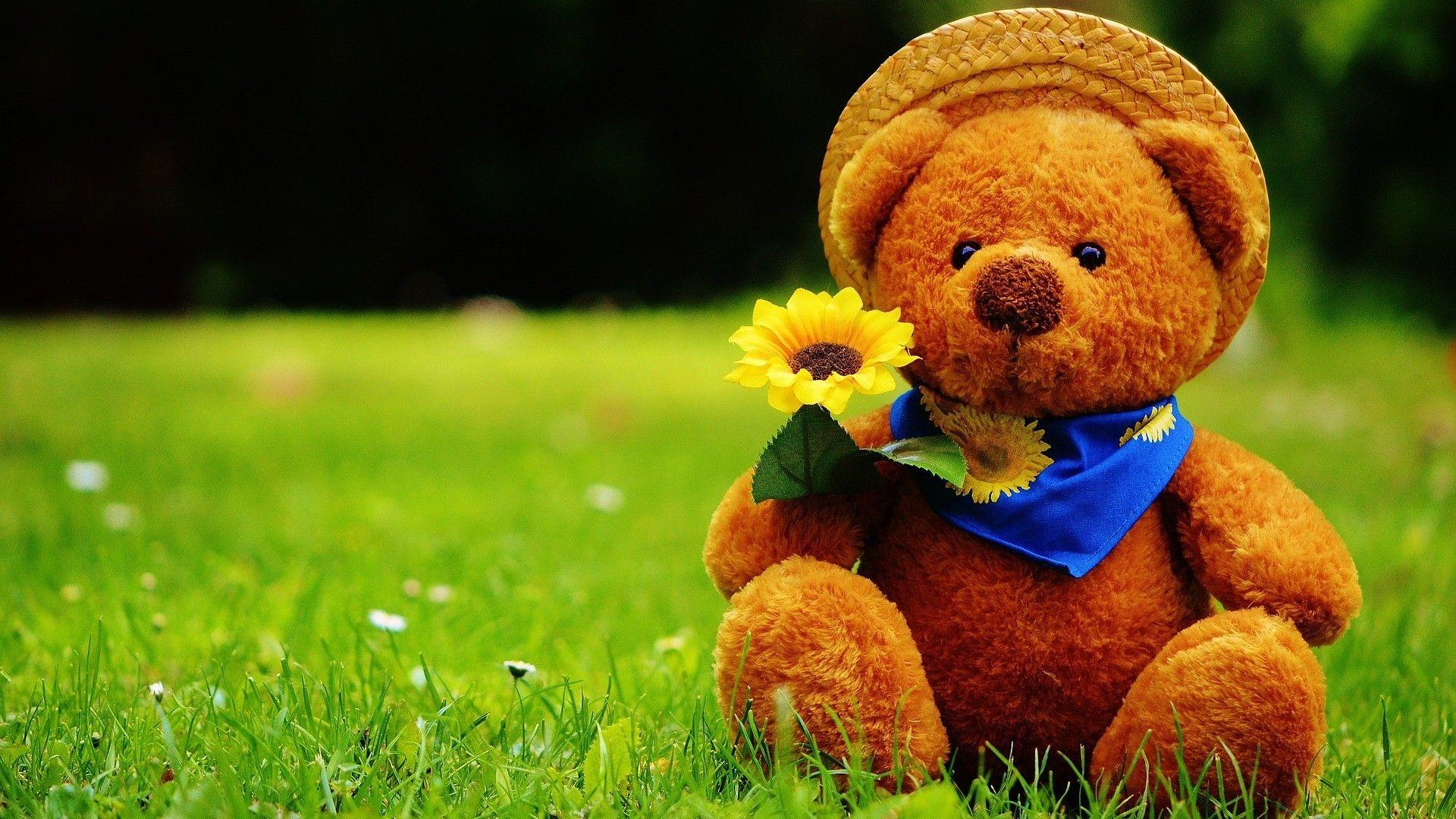Teddy Bear Desktop Wallpapers Top Free Teddy Bear Desktop Backgrounds