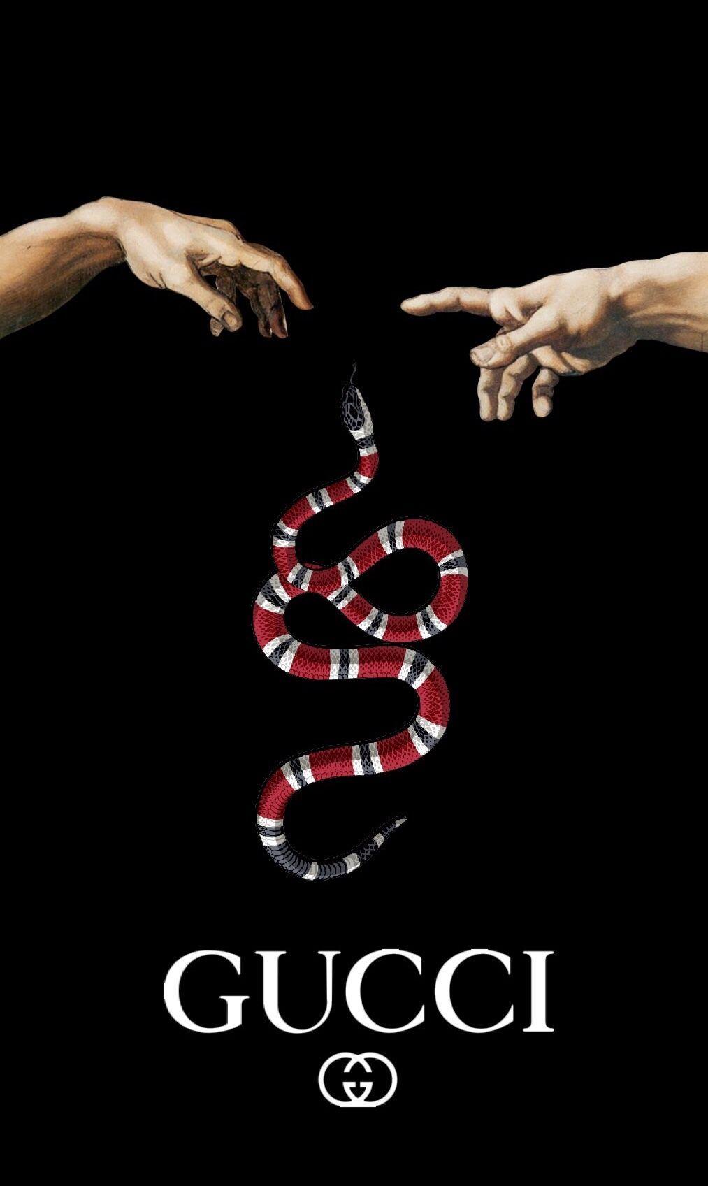 Black Snake iPhone Wallpapers Top Free Black Snake iPhone Backgrounds