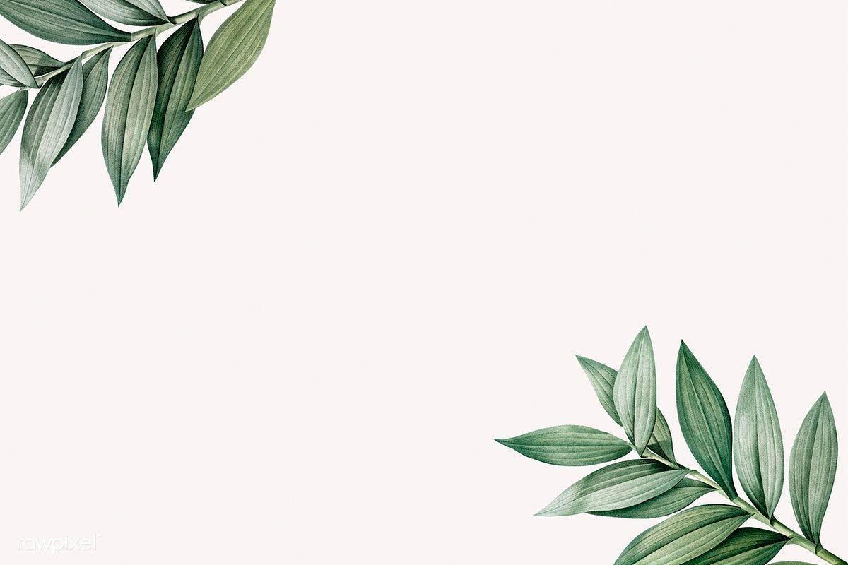 Aesthetic Leaves Laptop Wallpapers Top Free Aesthetic Leaves Laptop
