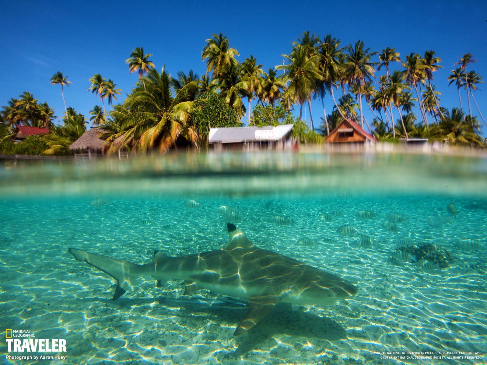 Pacific Island Wallpapers Top Free Pacific Island Backgrounds