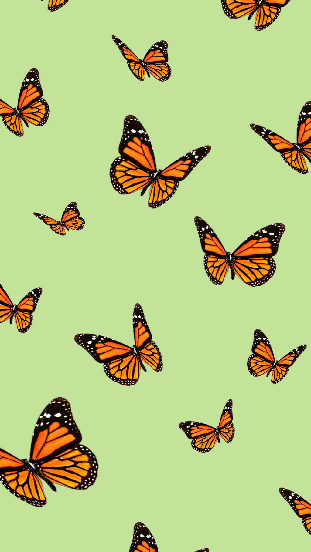 Orange Butterfly iPhone Wallpapers Top Free Orange Butterfly iPhone