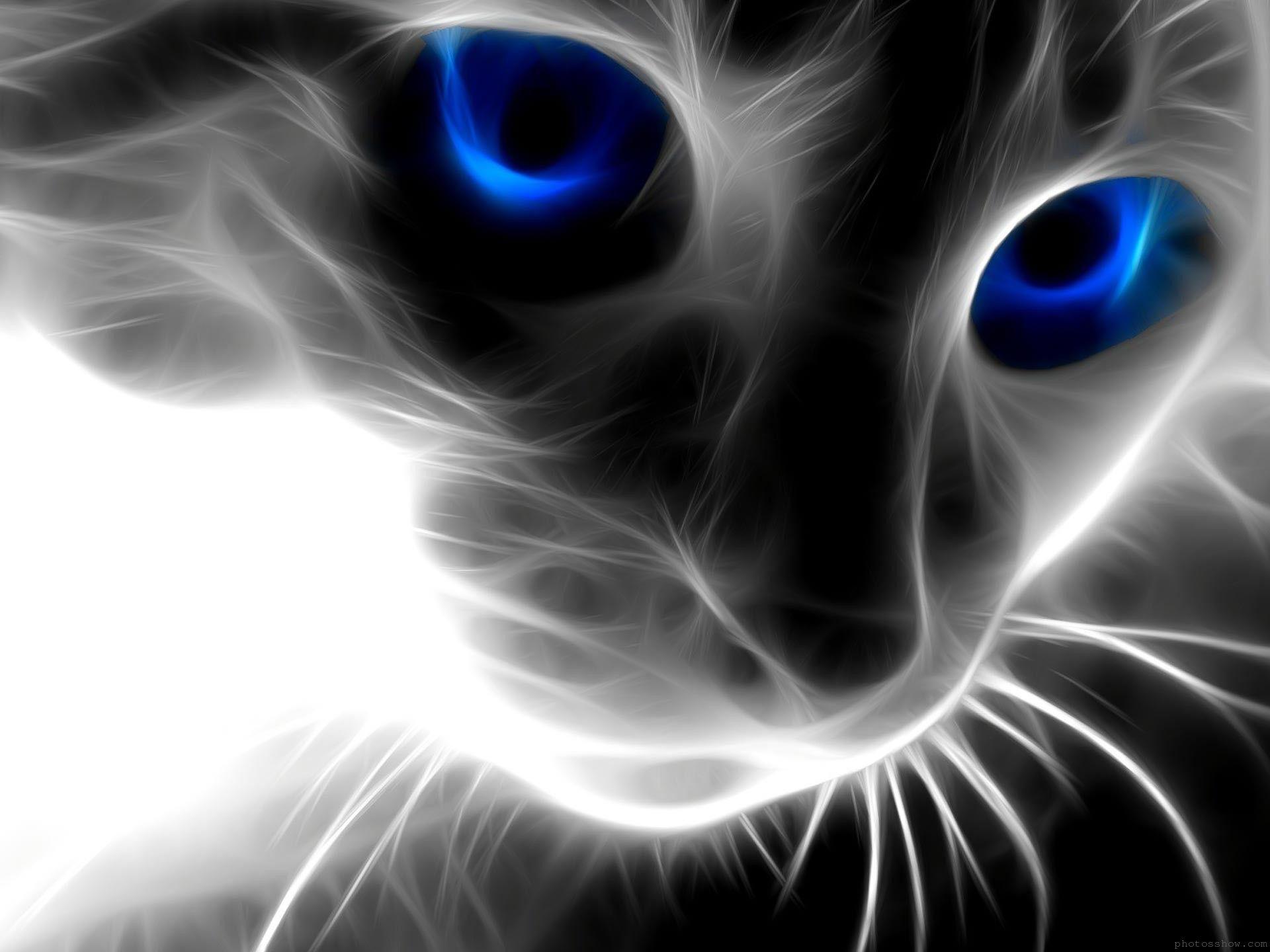 Black Cat Eyes Wallpapers Top Free Black Cat Eyes Backgrounds