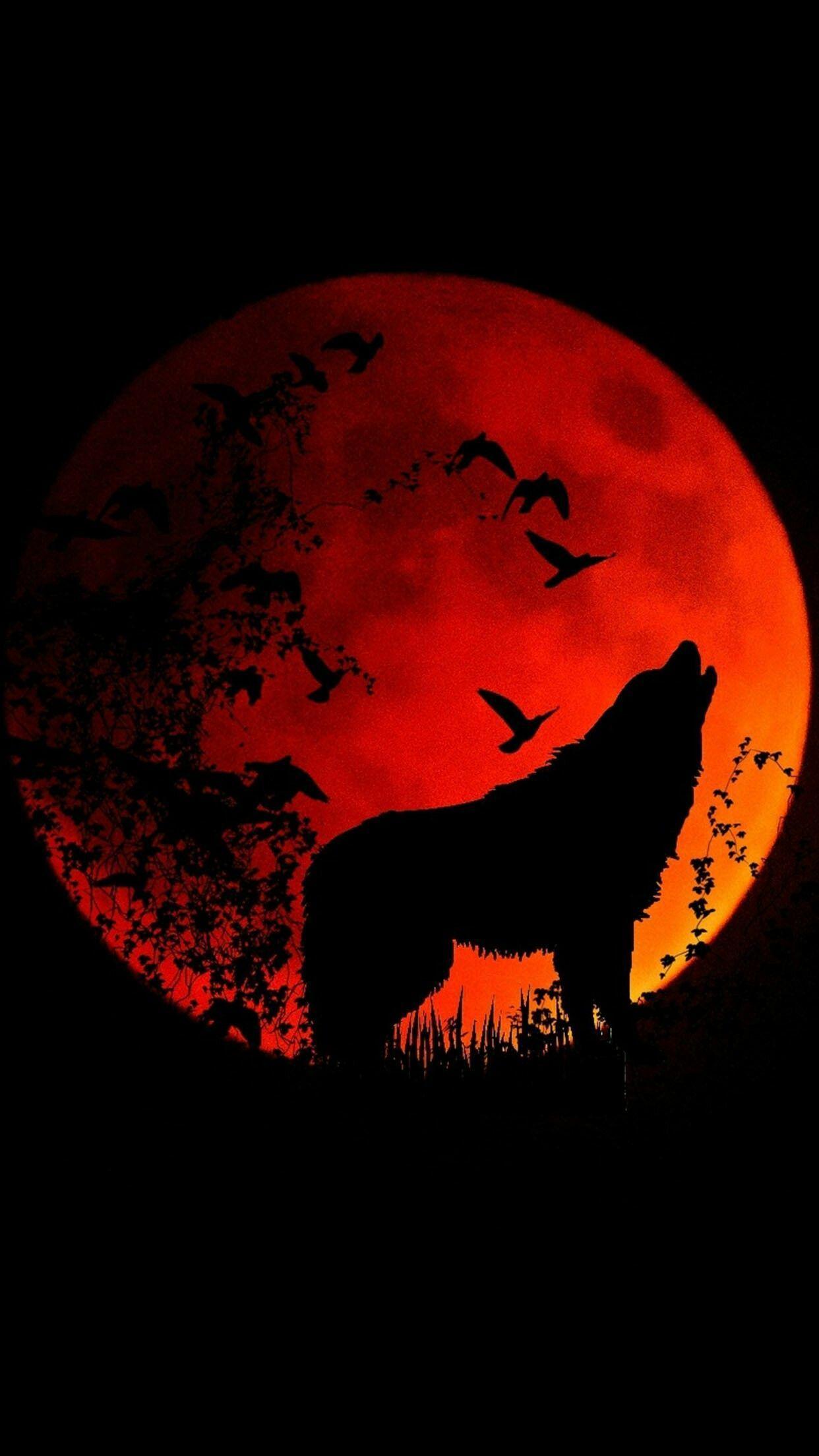 Blood Moon Wolf Wallpapers Top Free Blood Moon Wolf Backgrounds