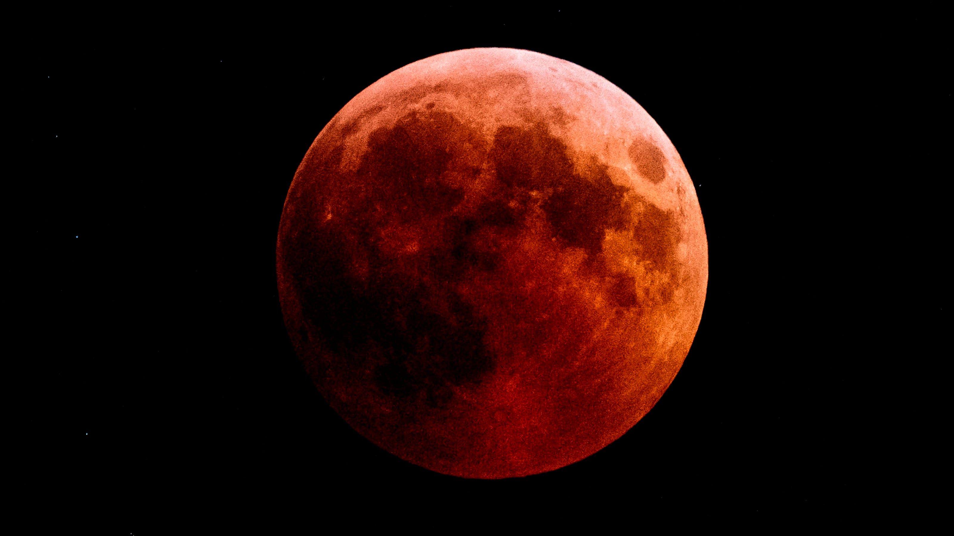 Blood Moon Wolf Wallpapers Top Free Blood Moon Wolf Backgrounds