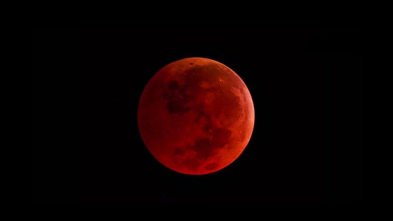 Blood Moon Wolf Wallpapers Top Free Blood Moon Wolf Backgrounds