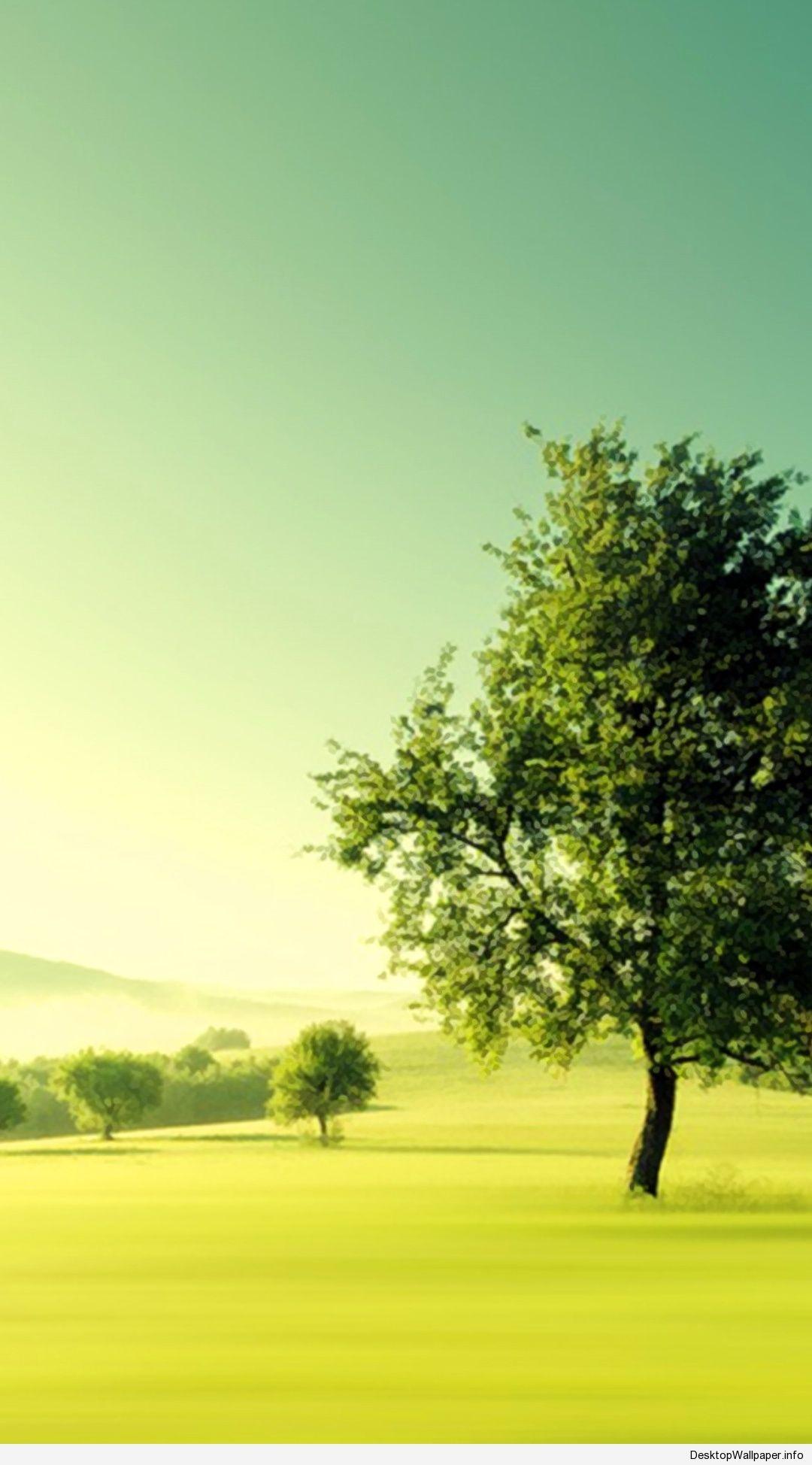 Green Scenery Wallpapers Top Free Green Scenery Backgrounds