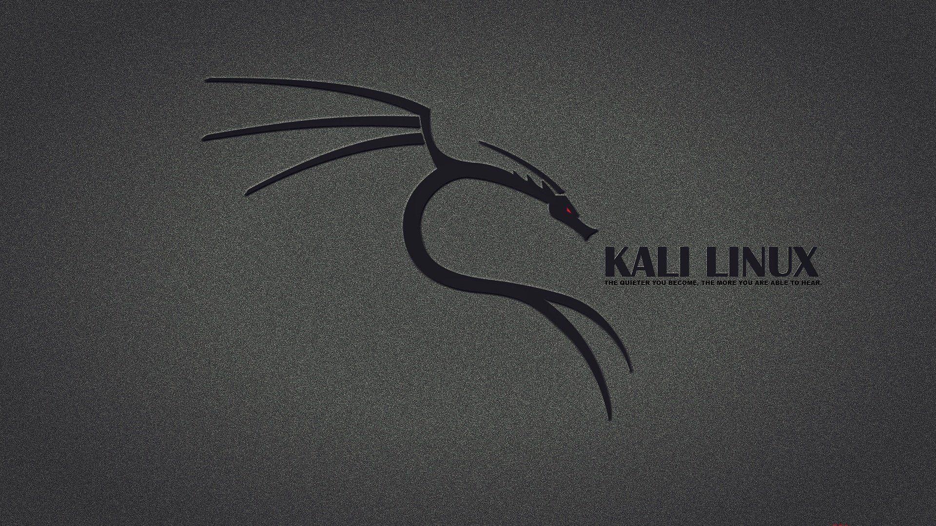 Kali Linux Black Wallpapers Top Free Kali Linux Black Backgrounds