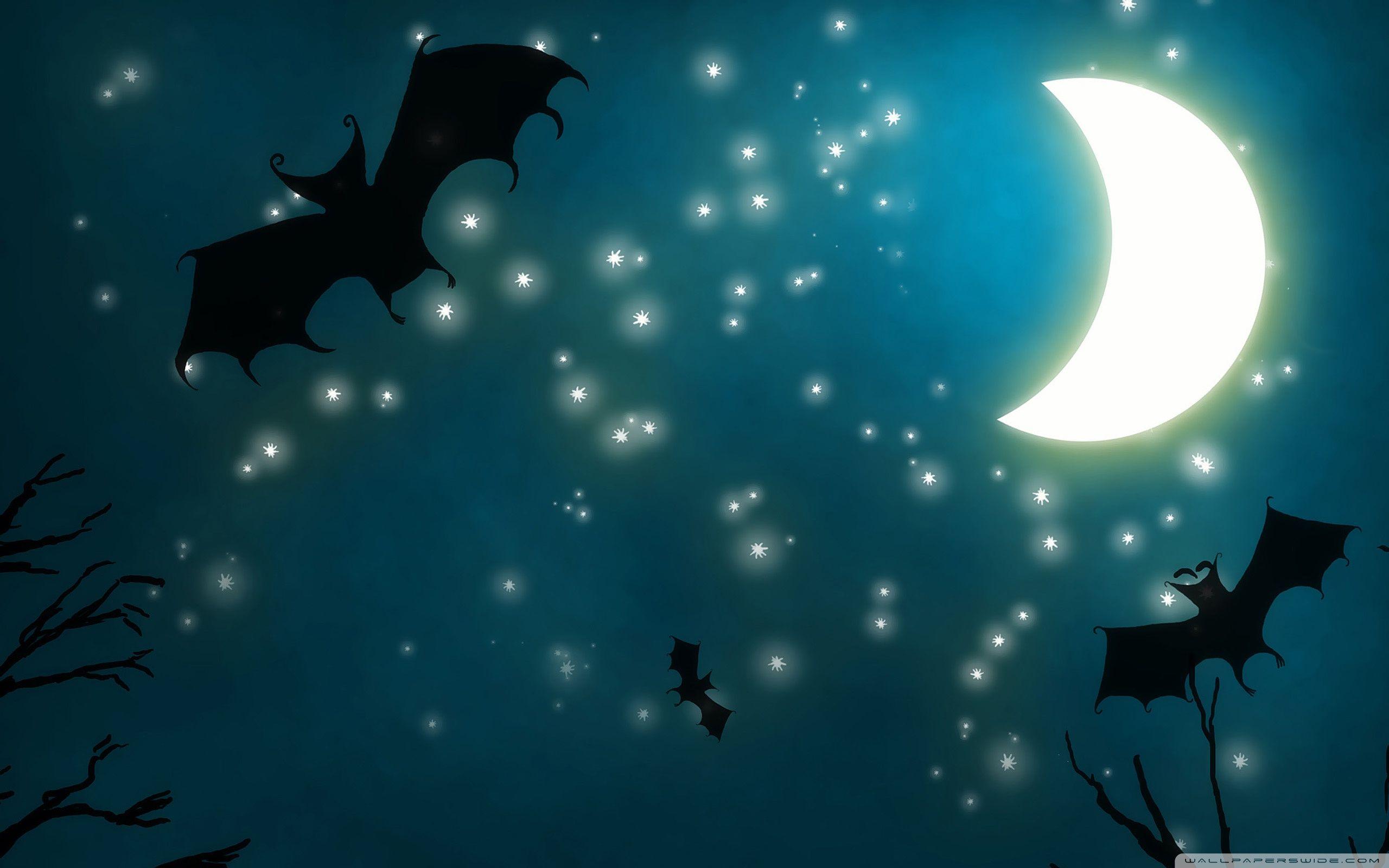 Cute Night Wallpapers Top Free Cute Night Backgrounds WallpaperAccess