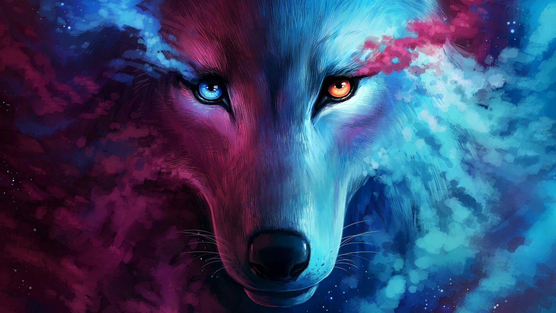 Blue Wolf Eyes Wallpapers Top Free Blue Wolf Eyes Backgrounds