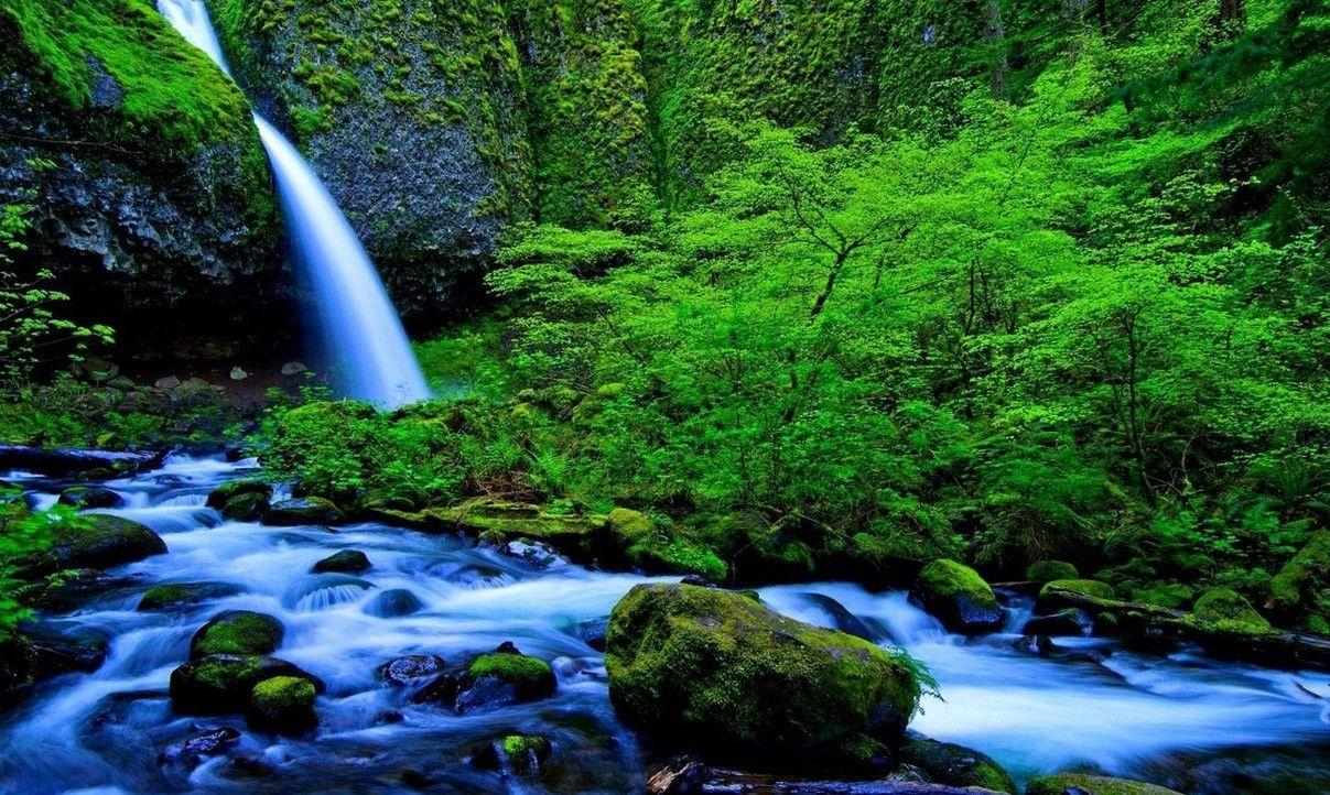 Cool Colorful Nature Wallpapers Top Free Cool Colorful Nature